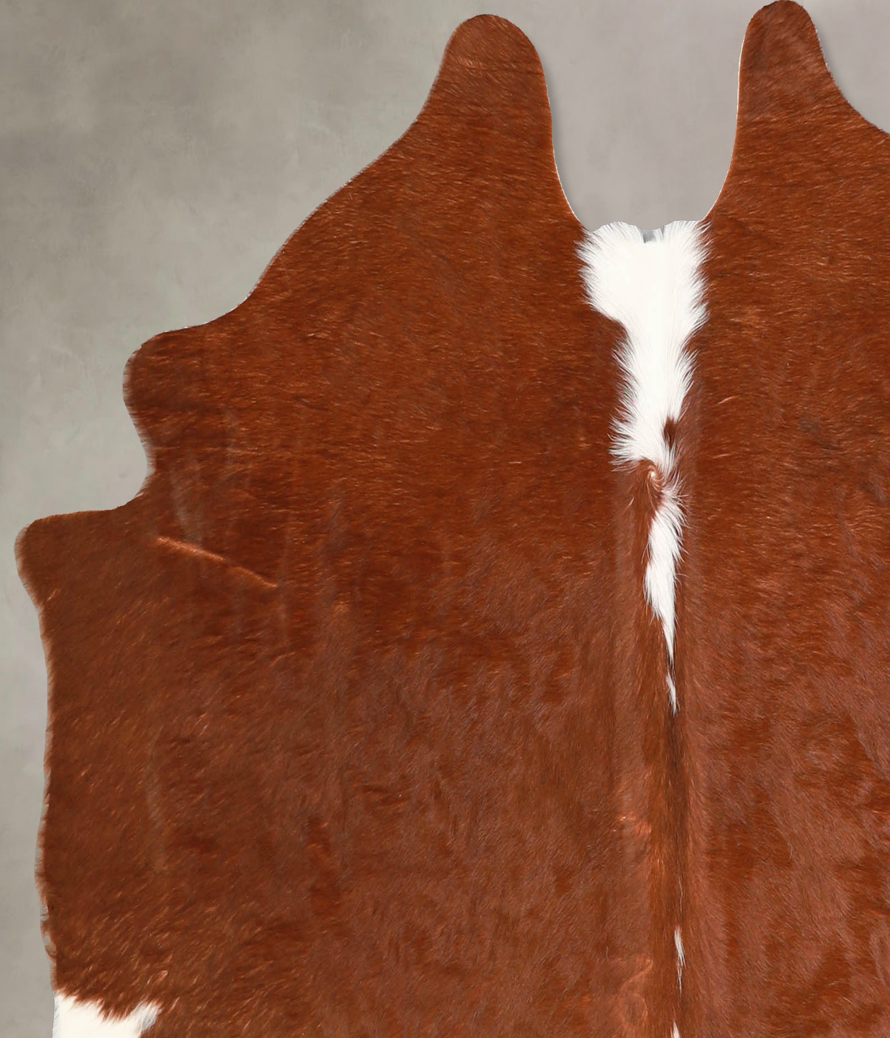 Brown and White Regular Cowhide Rug #A34767