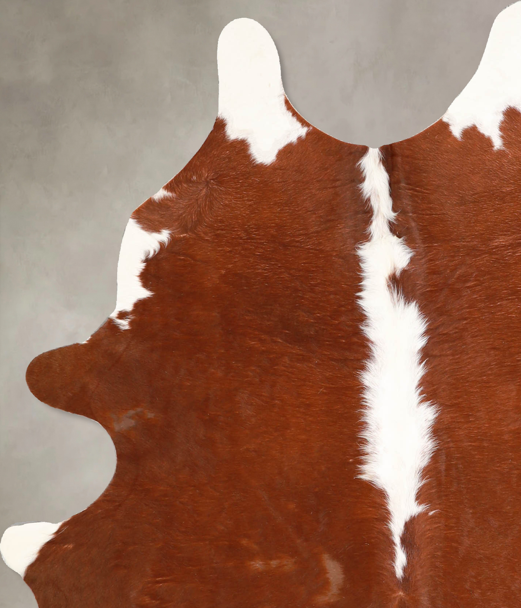 Brown and White Regular Cowhide Rug #A34768