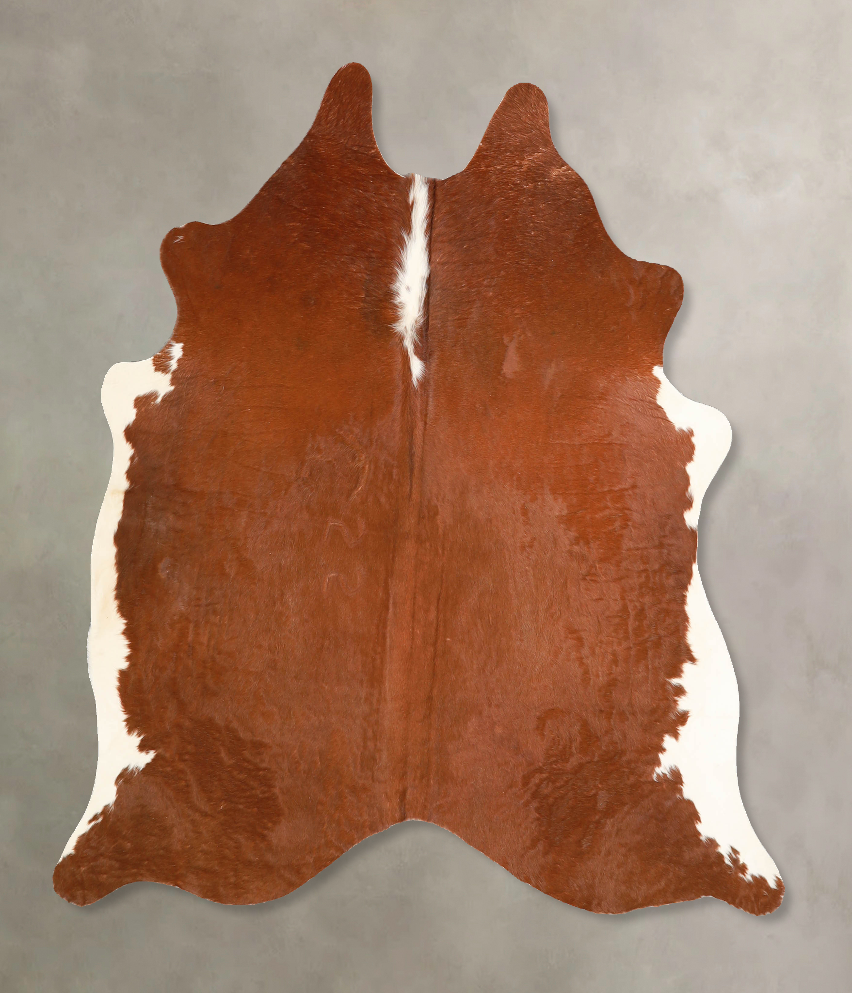 Brown and White Regular Cowhide Rug #A34769