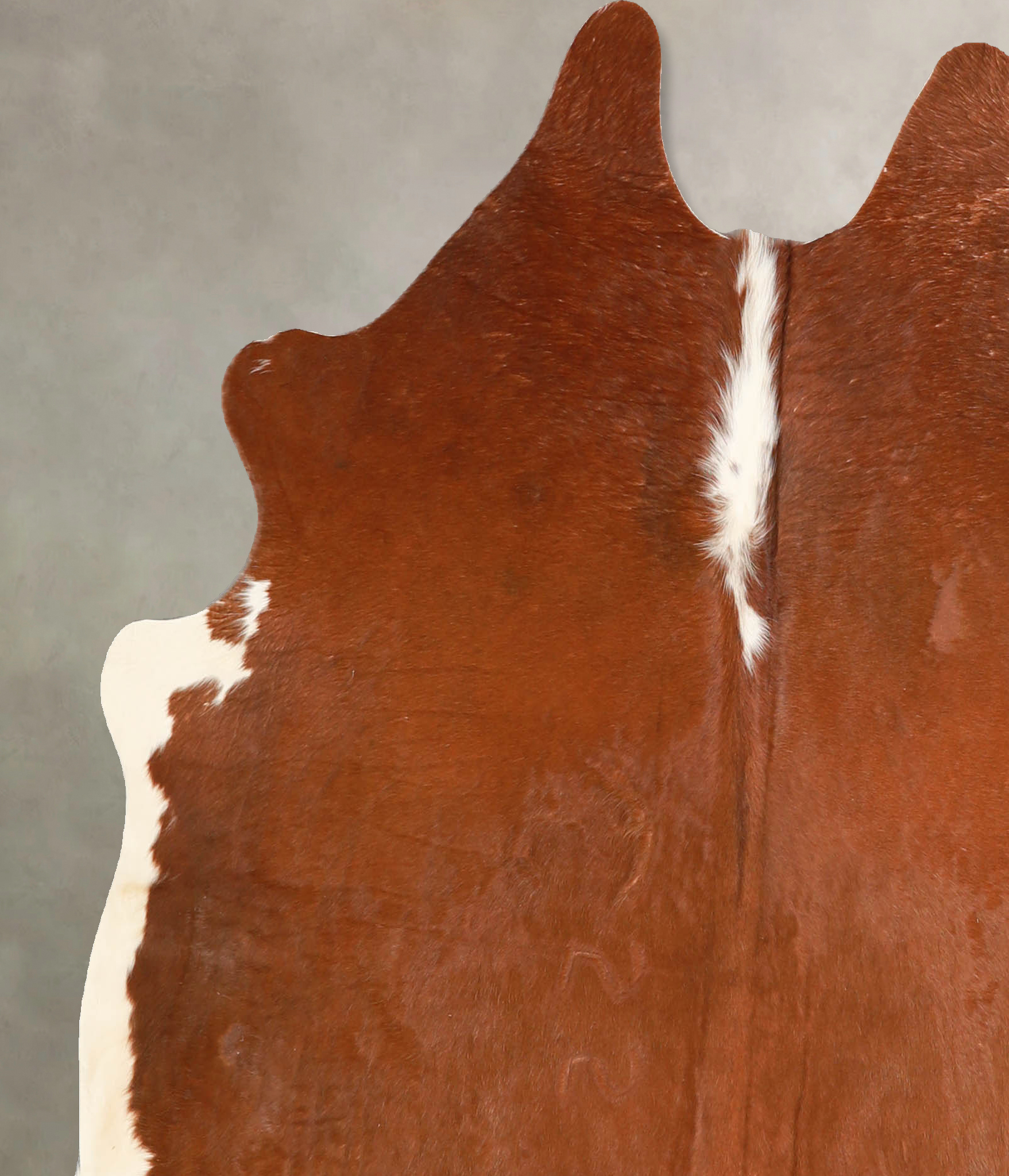 Brown and White Regular Cowhide Rug #A34769