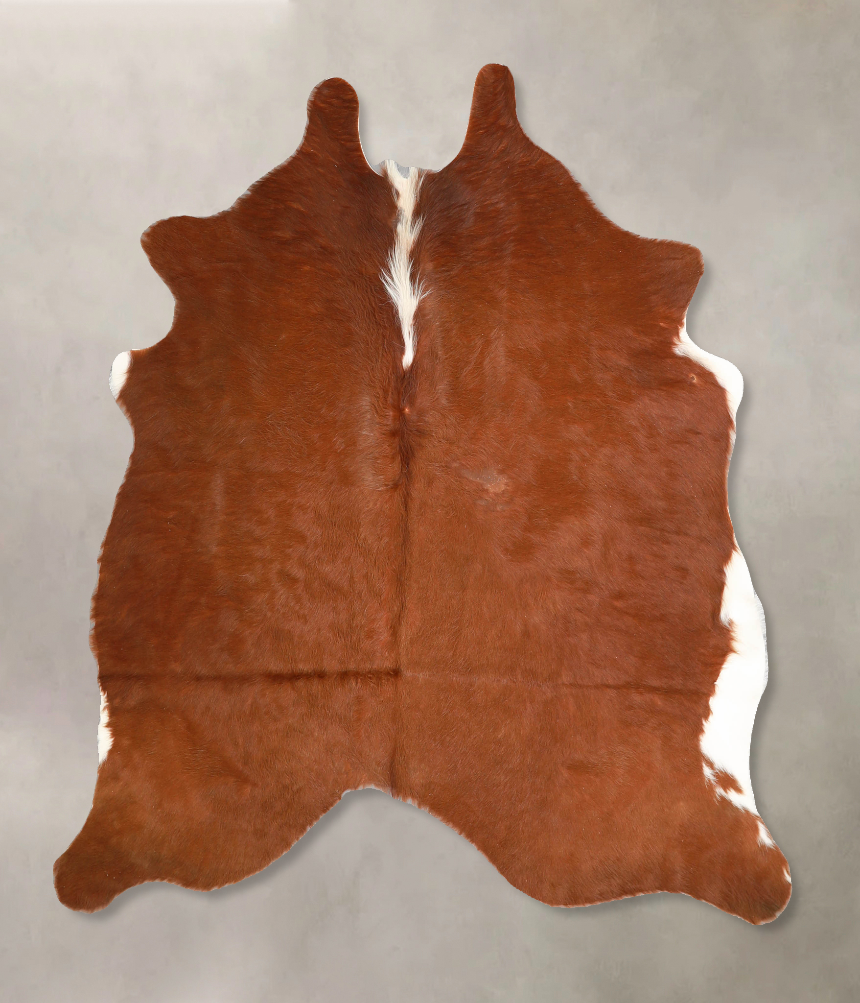 Brown and White Regular Cowhide Rug #A34771