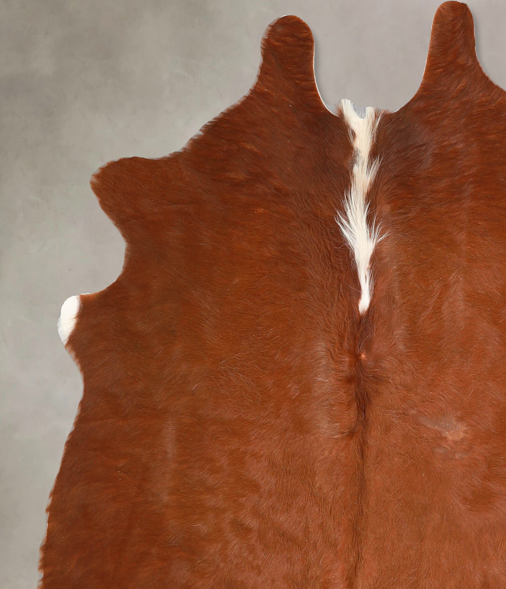 Brown and White Regular Cowhide Rug #A34771