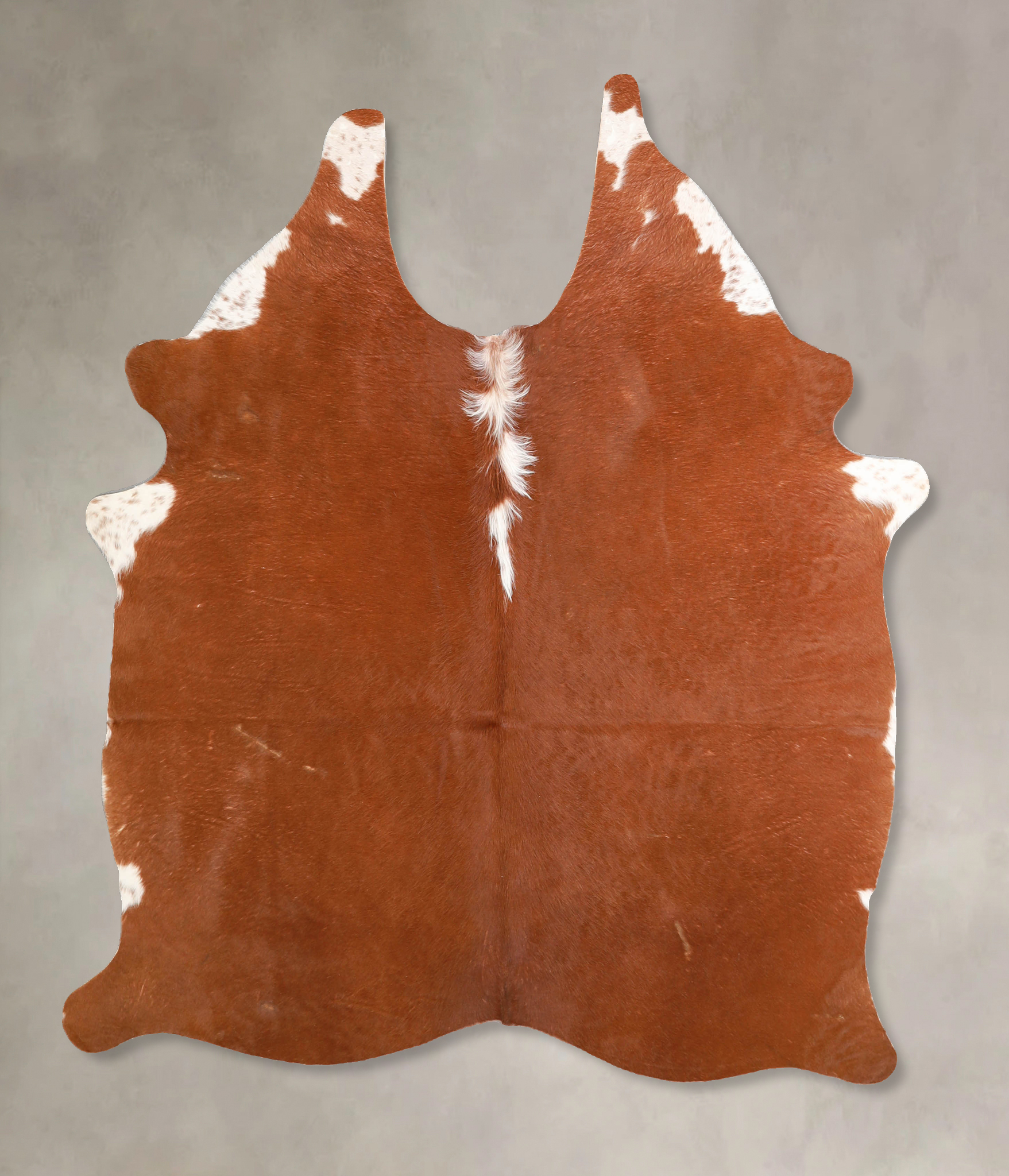 Brown and White Regular Cowhide Rug #A34778