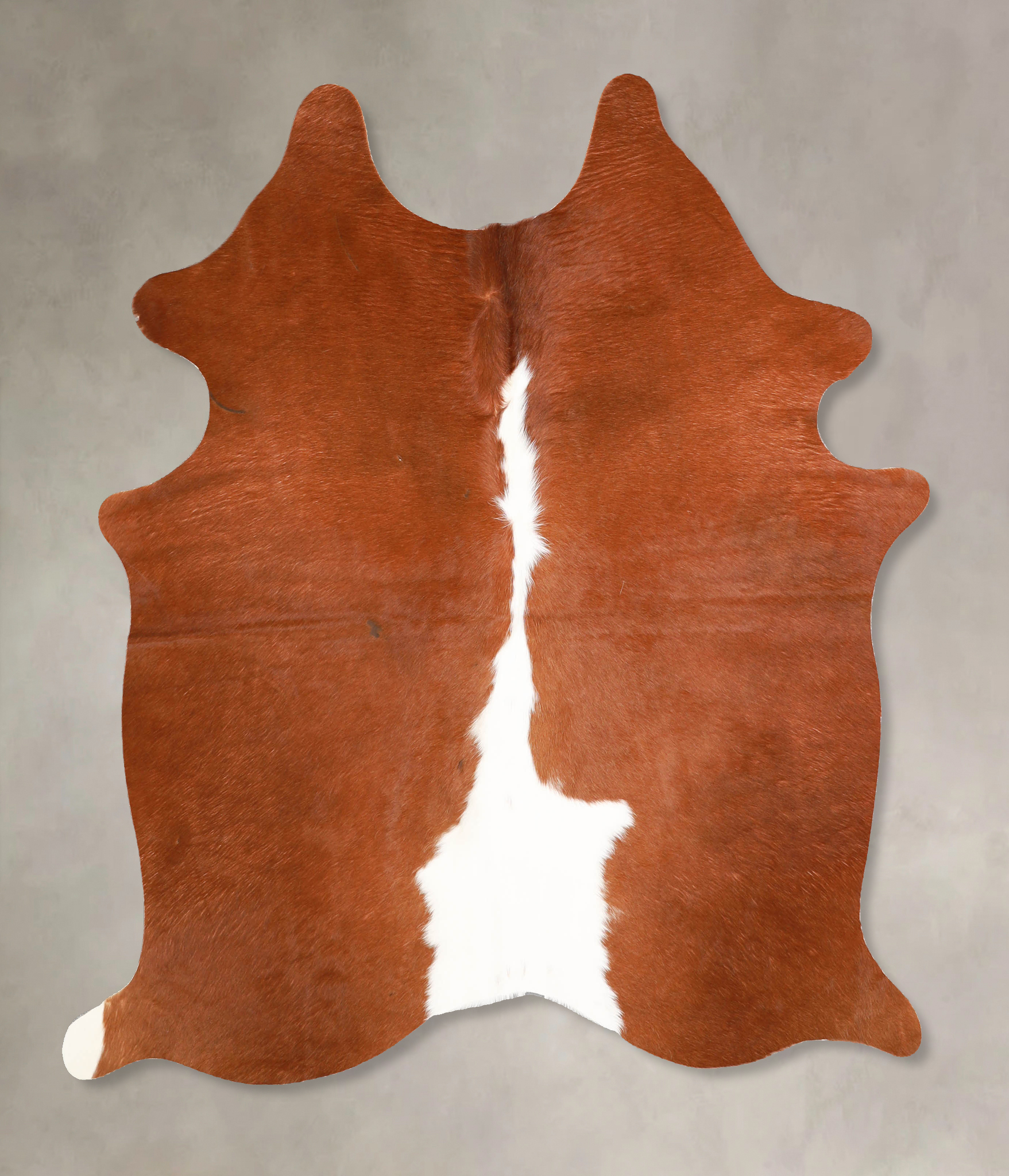 Brown and White Regular Cowhide Rug #A34779