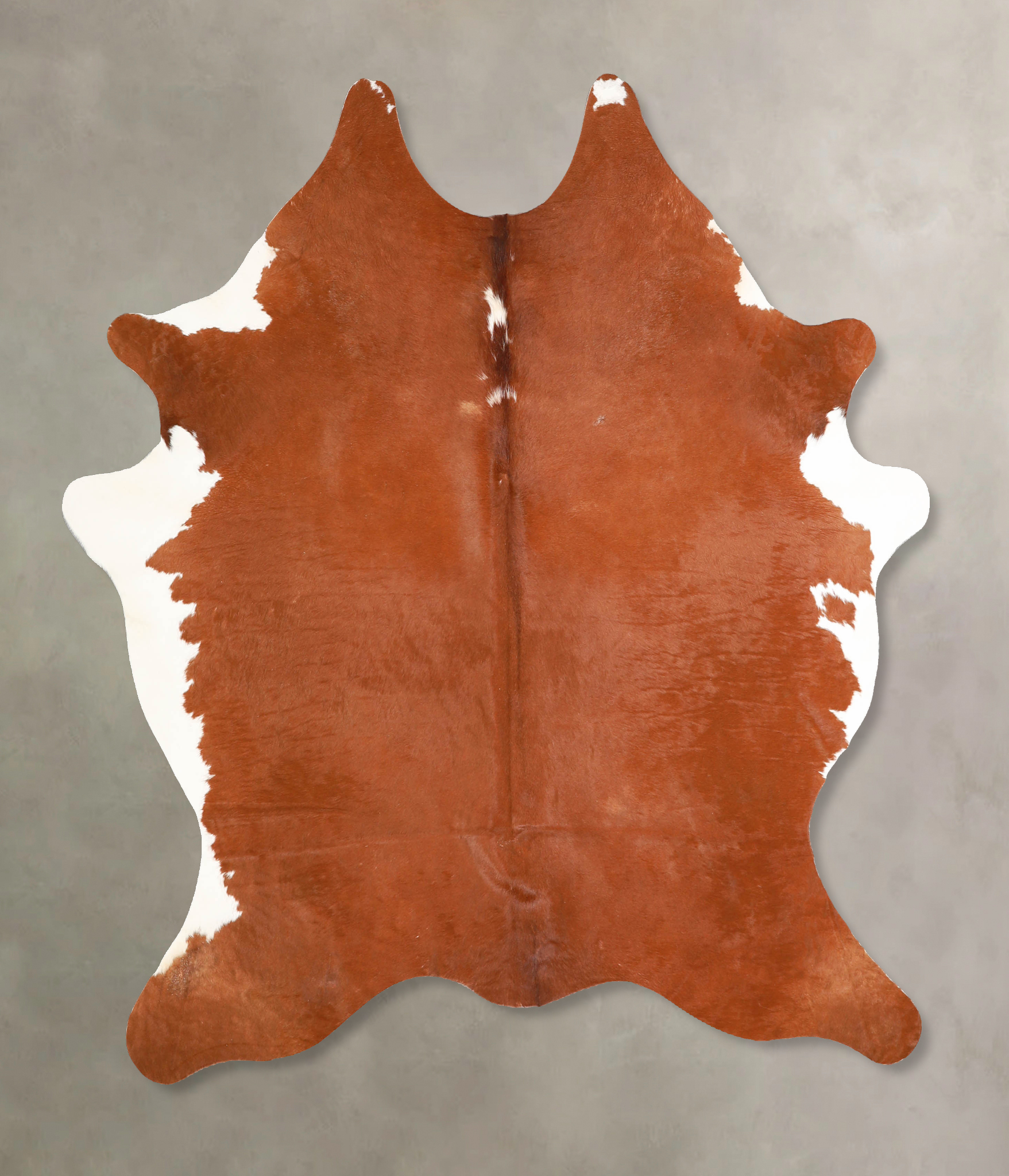 Brown and White Regular Cowhide Rug #A34781