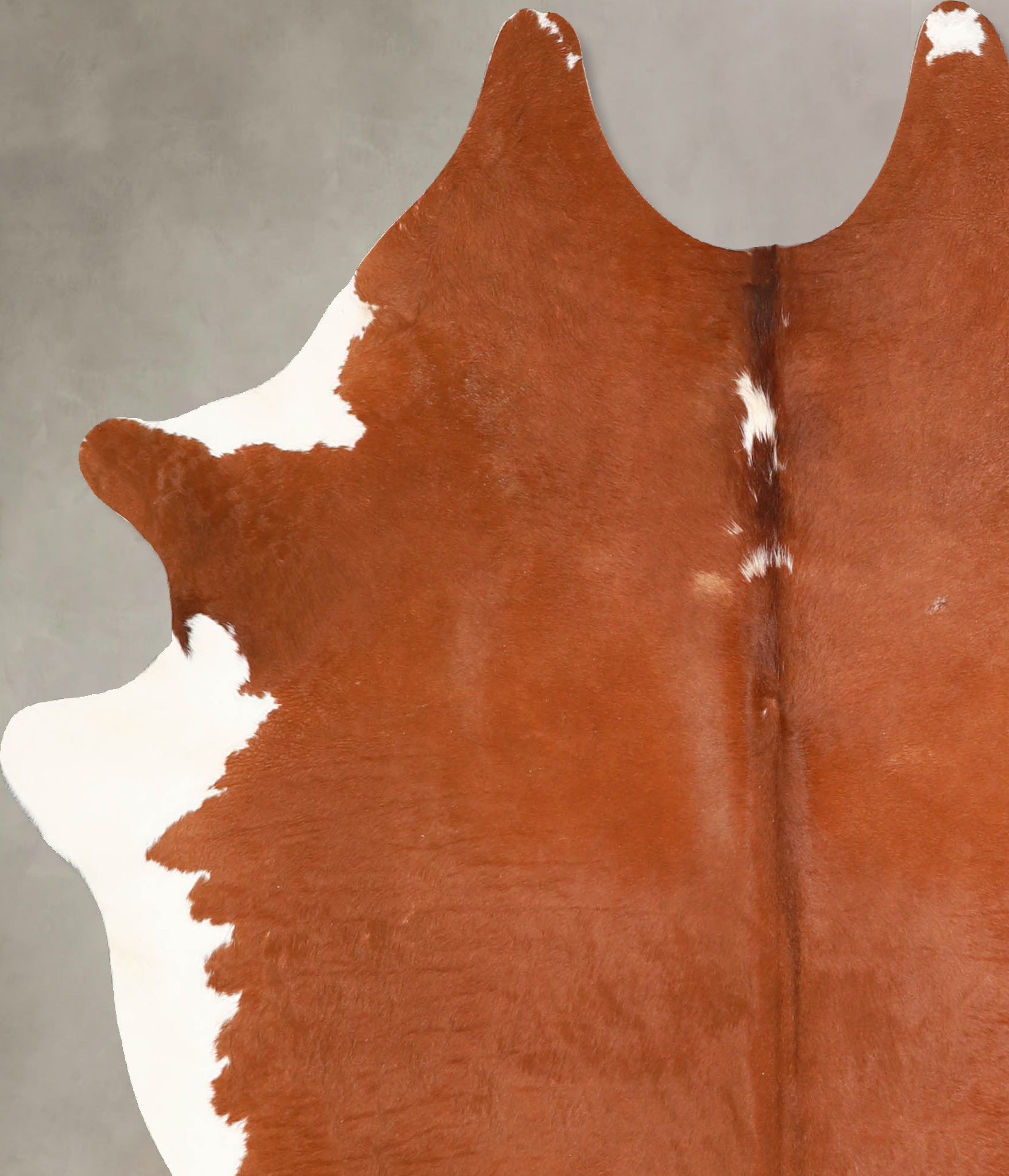 Brown and White Regular Cowhide Rug #A34781