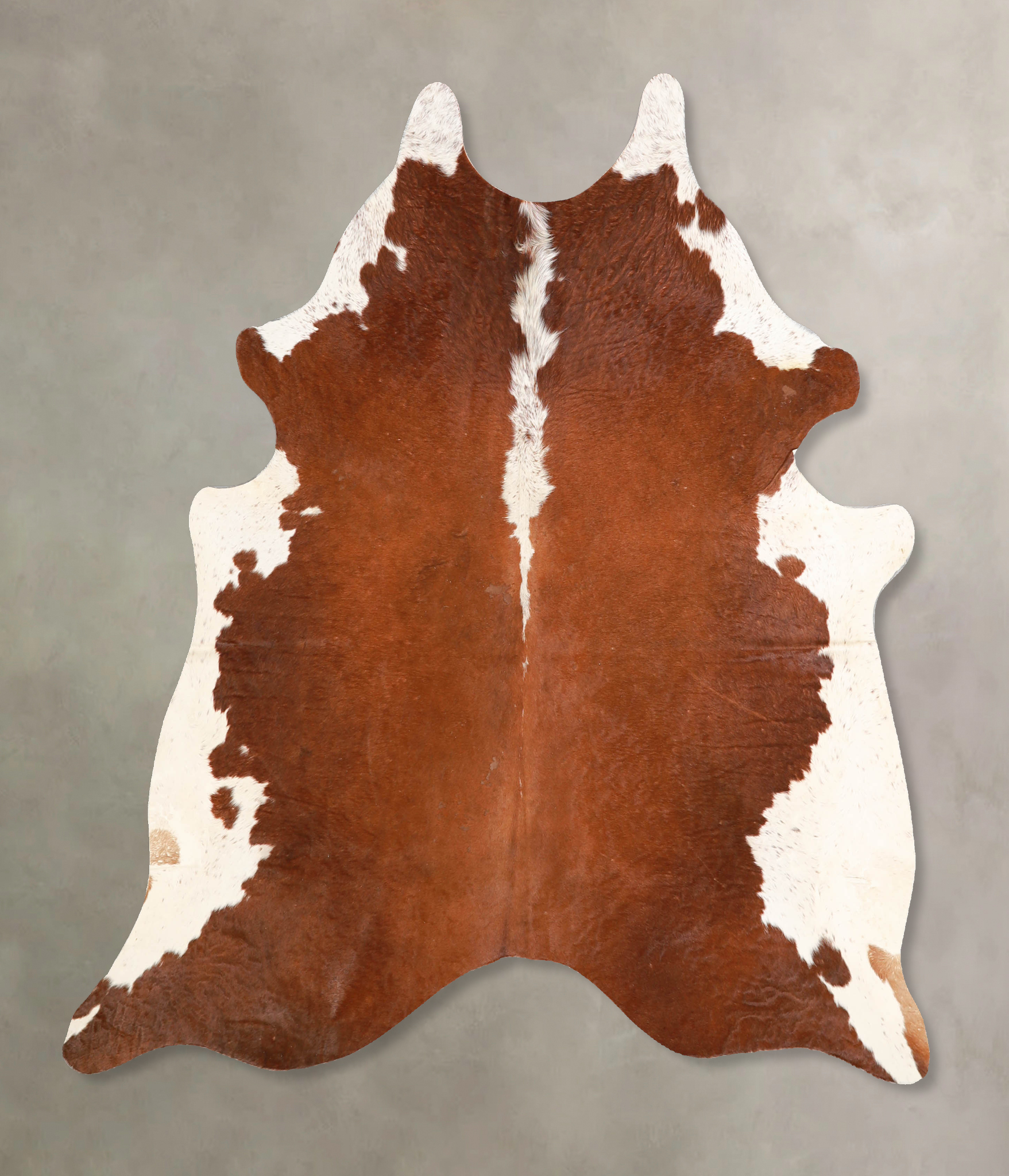 Brown and White Regular Cowhide Rug #A34784