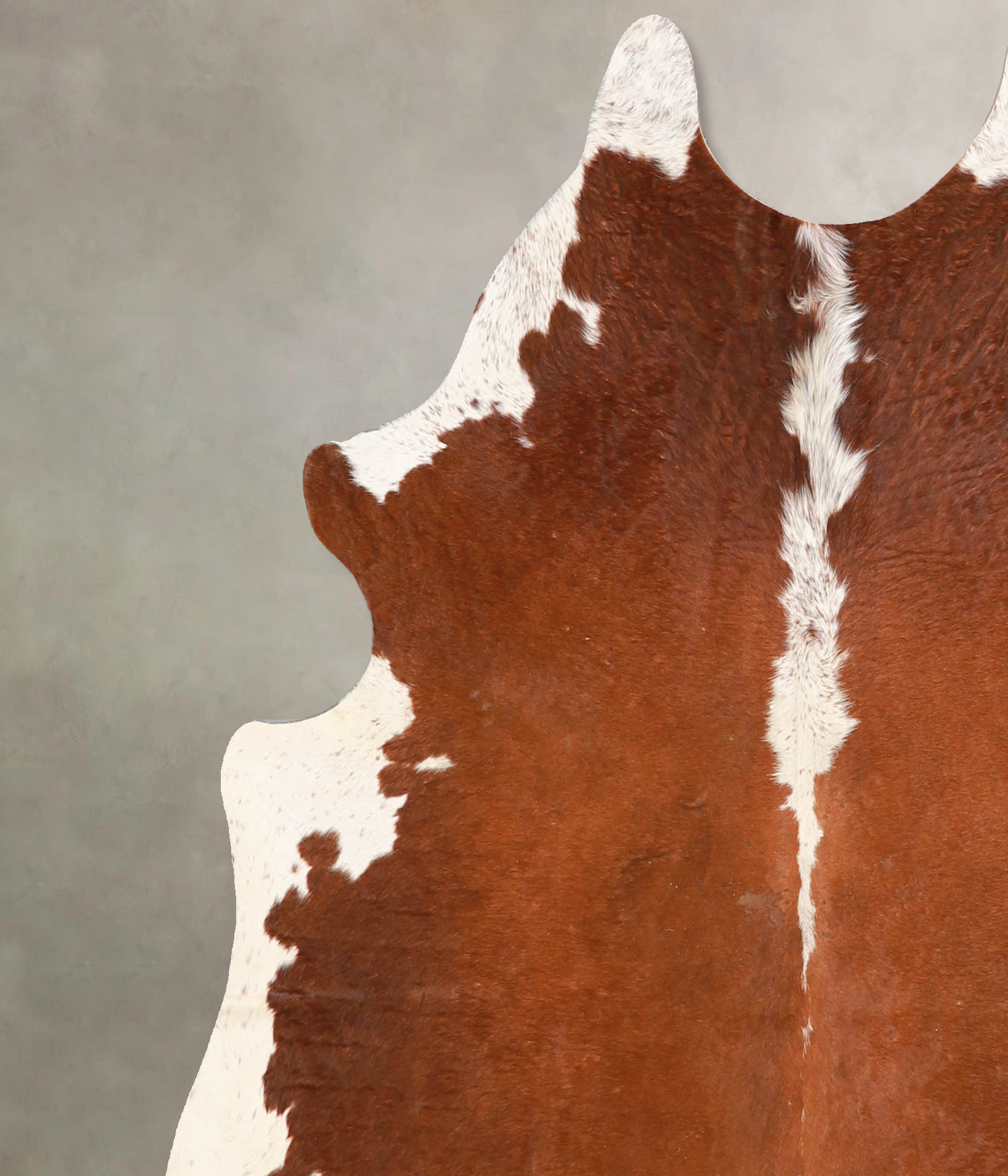 Brown and White Regular Cowhide Rug #A34784