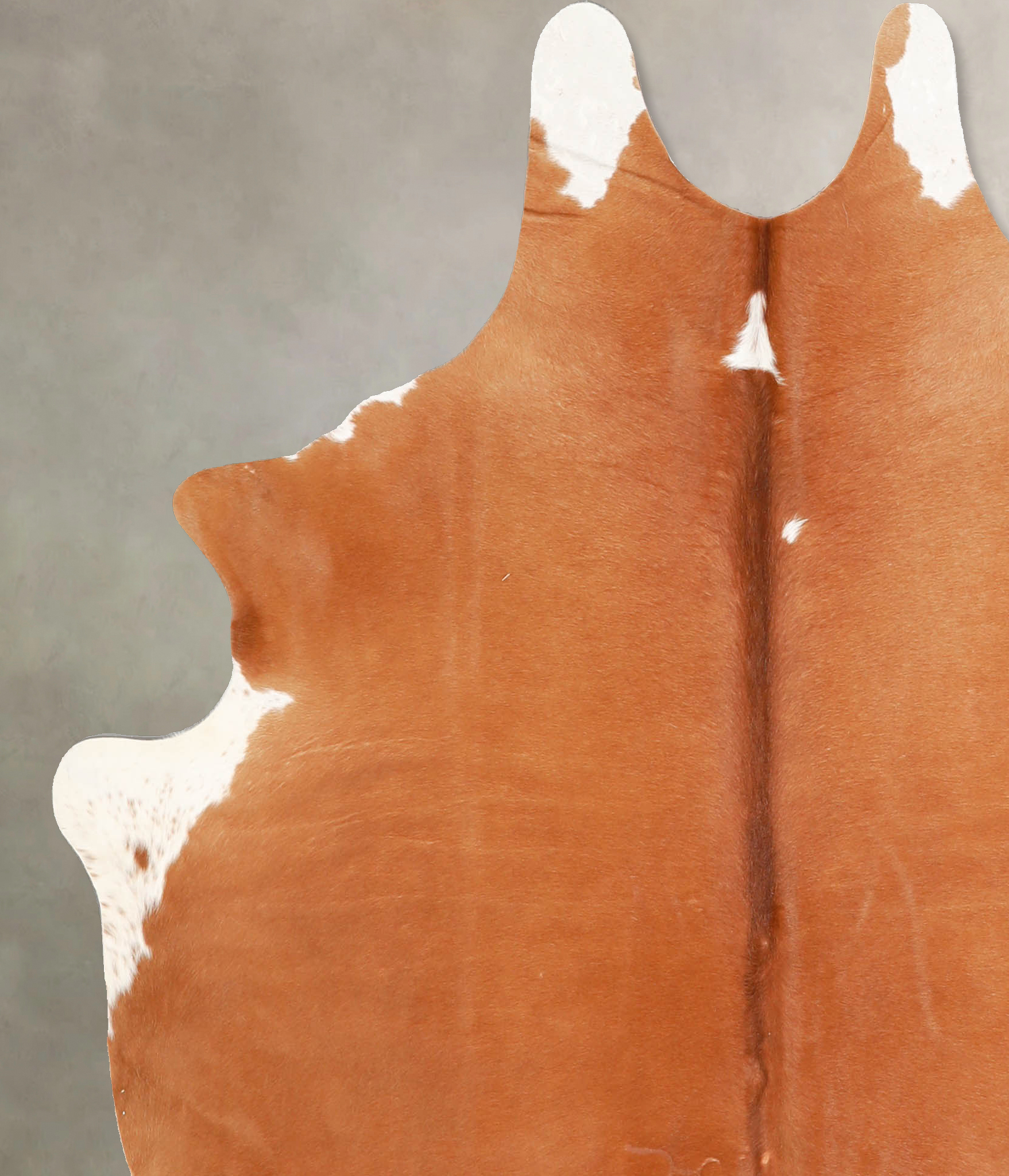 Brown and White Regular Cowhide Rug #A34786