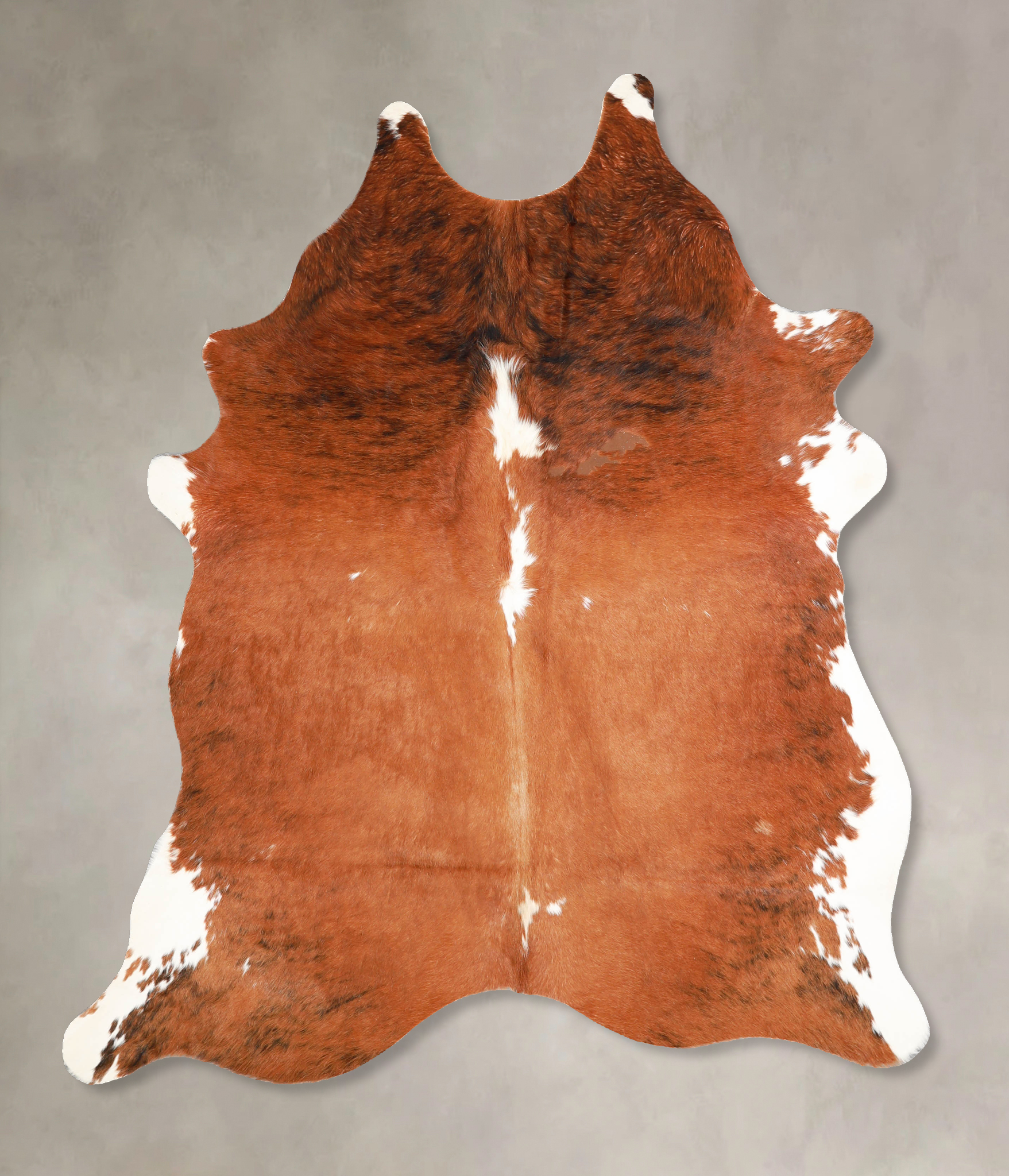 Brown and White Regular Cowhide Rug #A34793