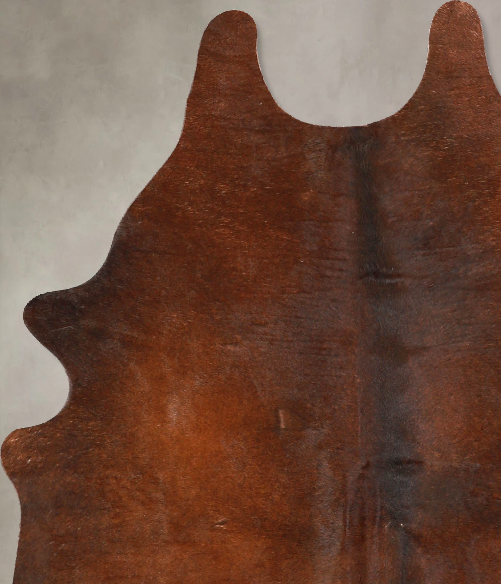 Solid Brown Cowhide Rug #A34803