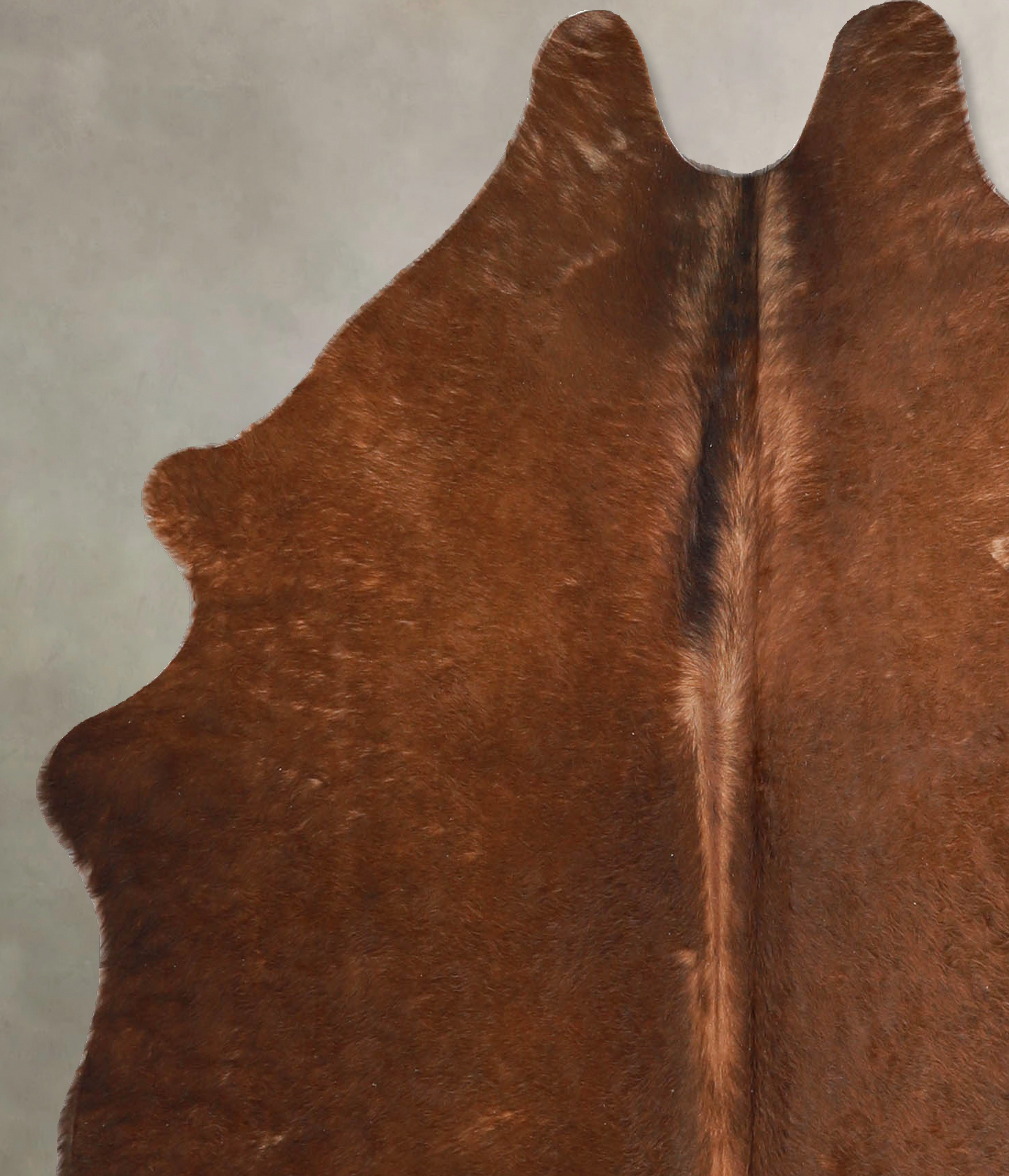 Solid Brown Cowhide Rug #A34805