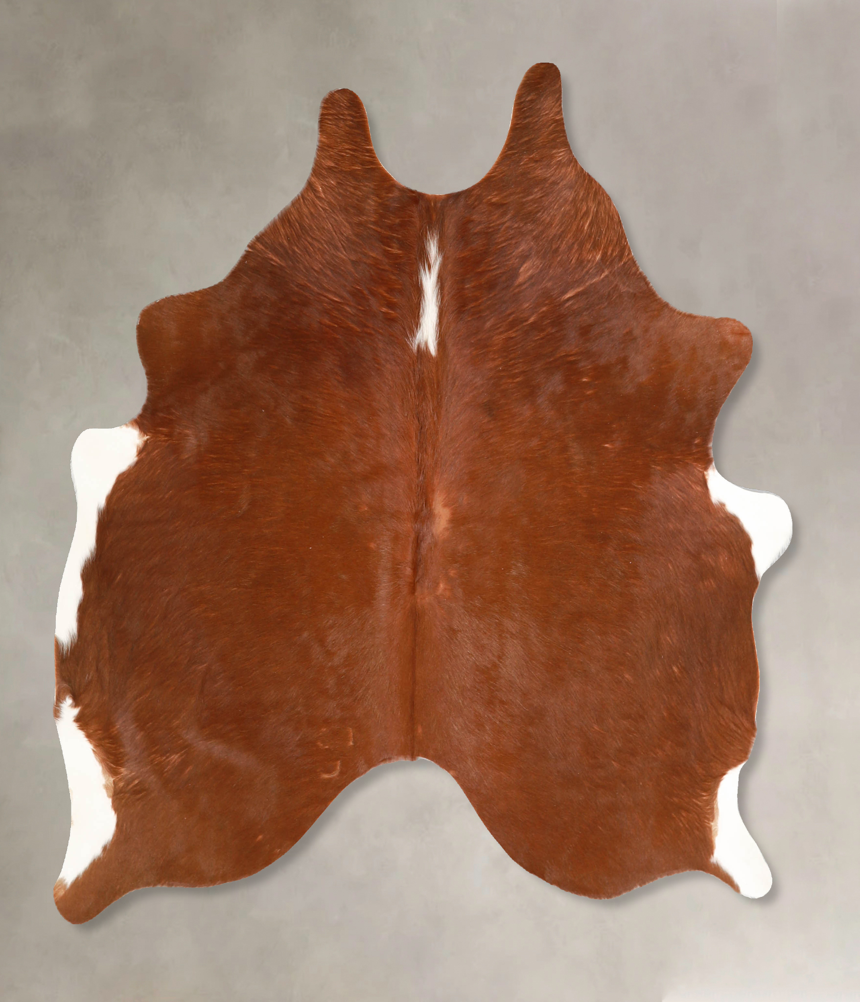 Brown and White Regular Cowhide Rug #A34807