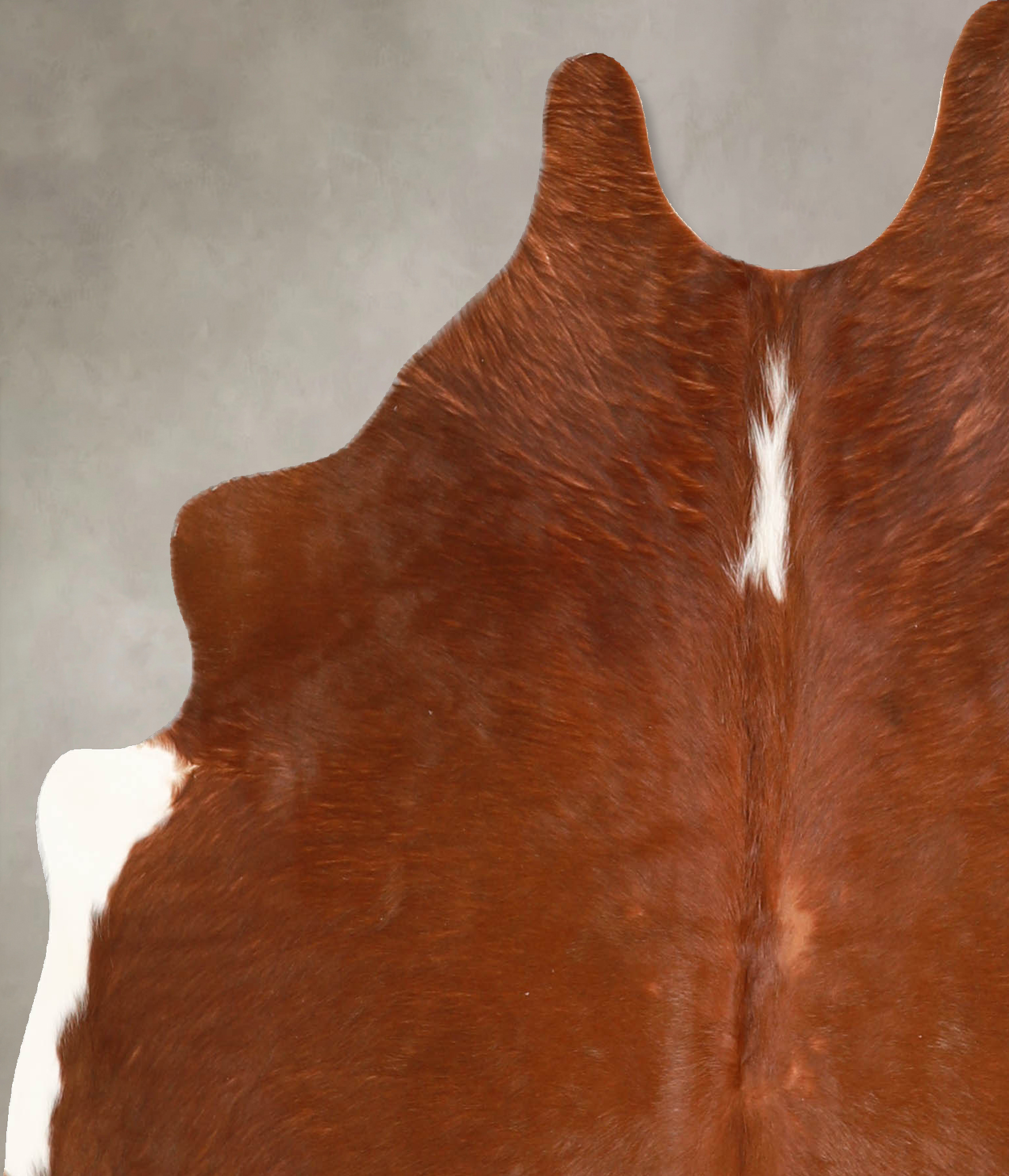 Brown and White Regular Cowhide Rug #A34807