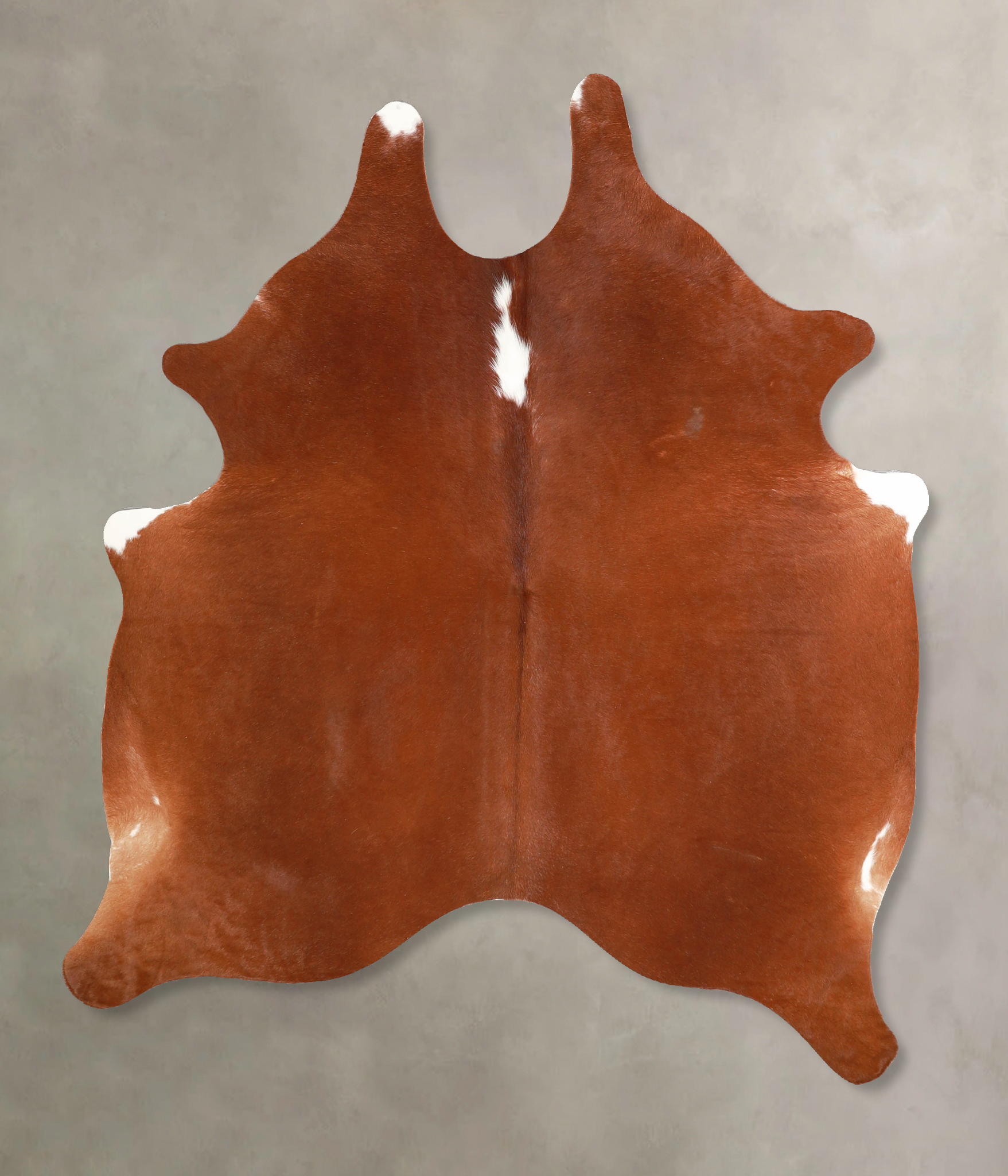 Brown and White Regular Cowhide Rug #A34812