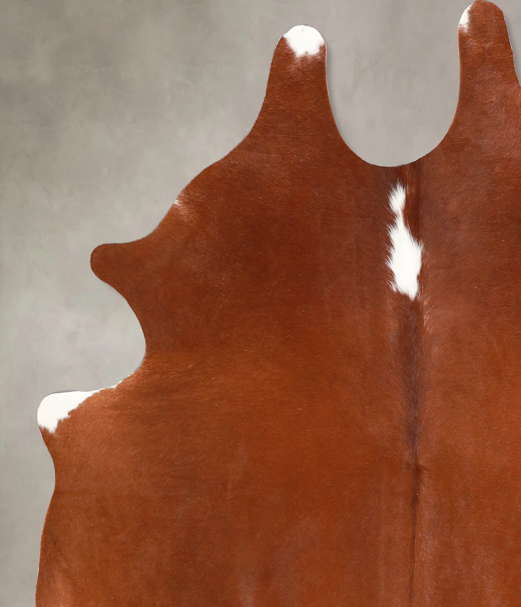 Brown and White Regular Cowhide Rug #A34812