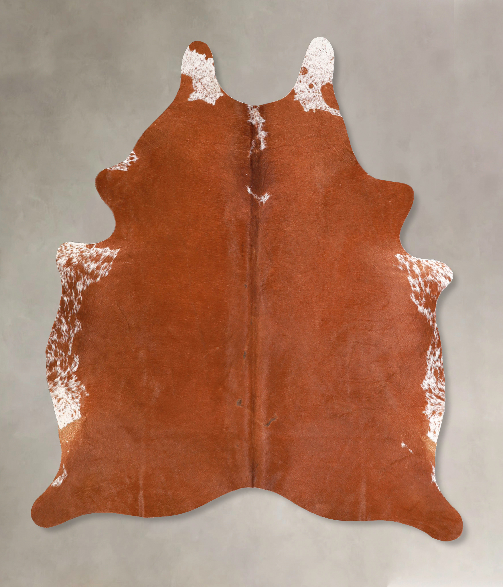 Brown and White Regular Cowhide Rug #A34814