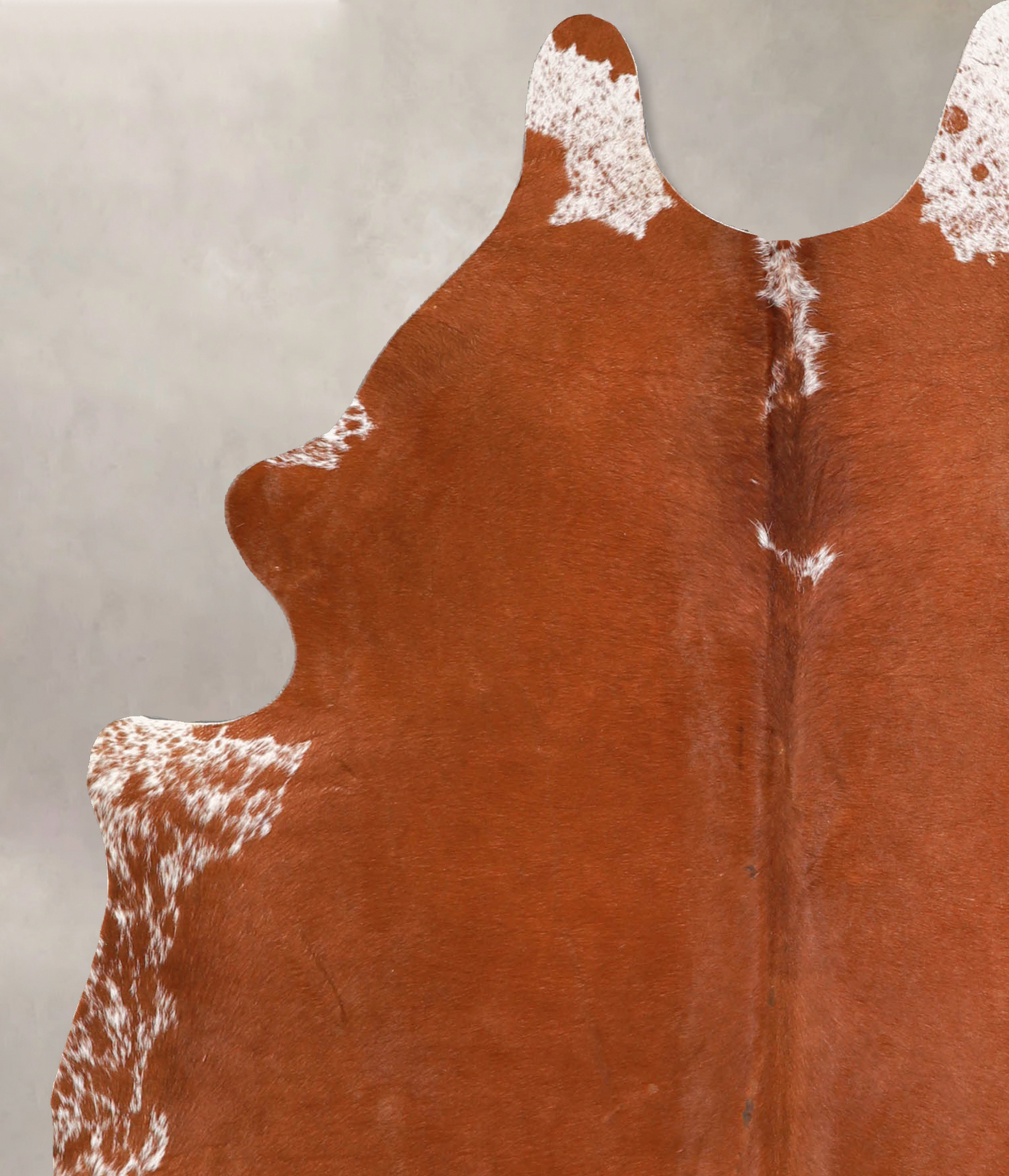 Brown and White Regular Cowhide Rug #A34814