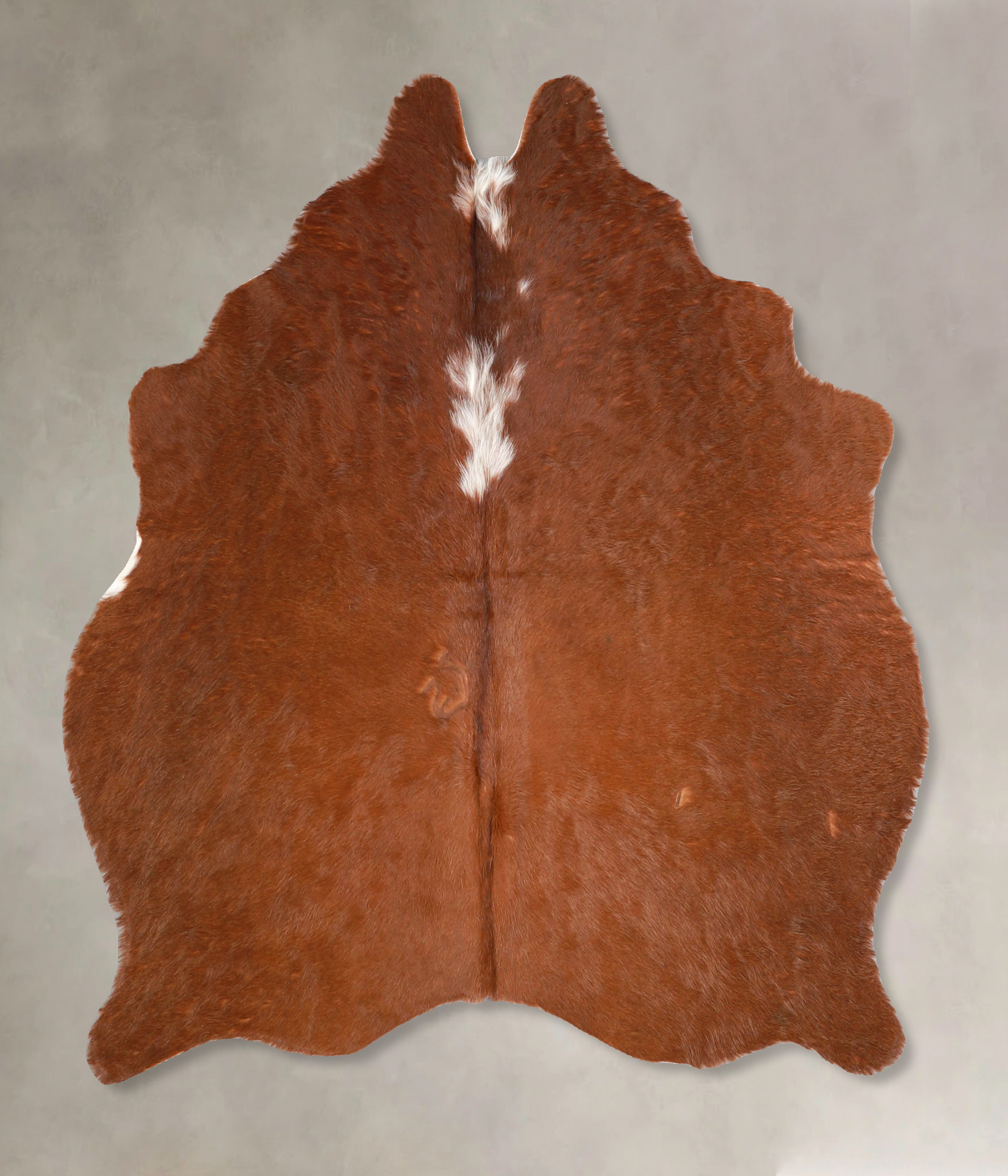 Brown and White Regular Cowhide Rug #A34819