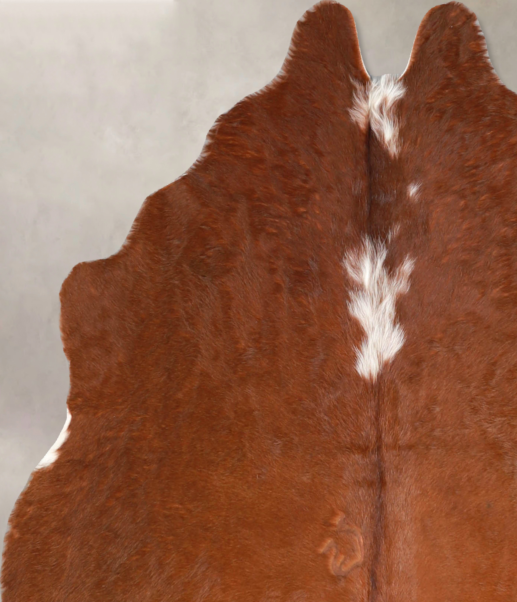 Brown and White Regular Cowhide Rug #A34819