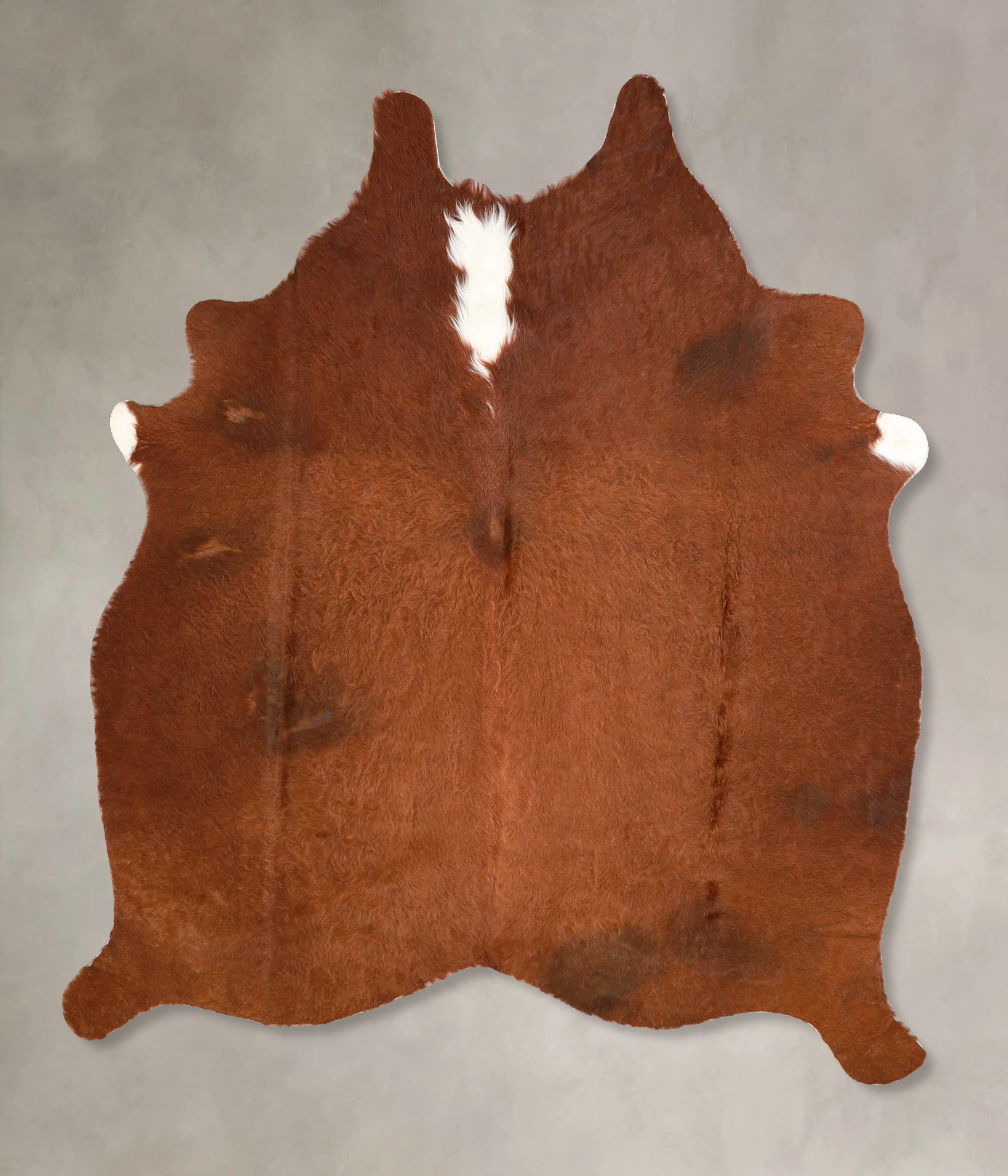 Brown and White Regular Cowhide Rug #A34820