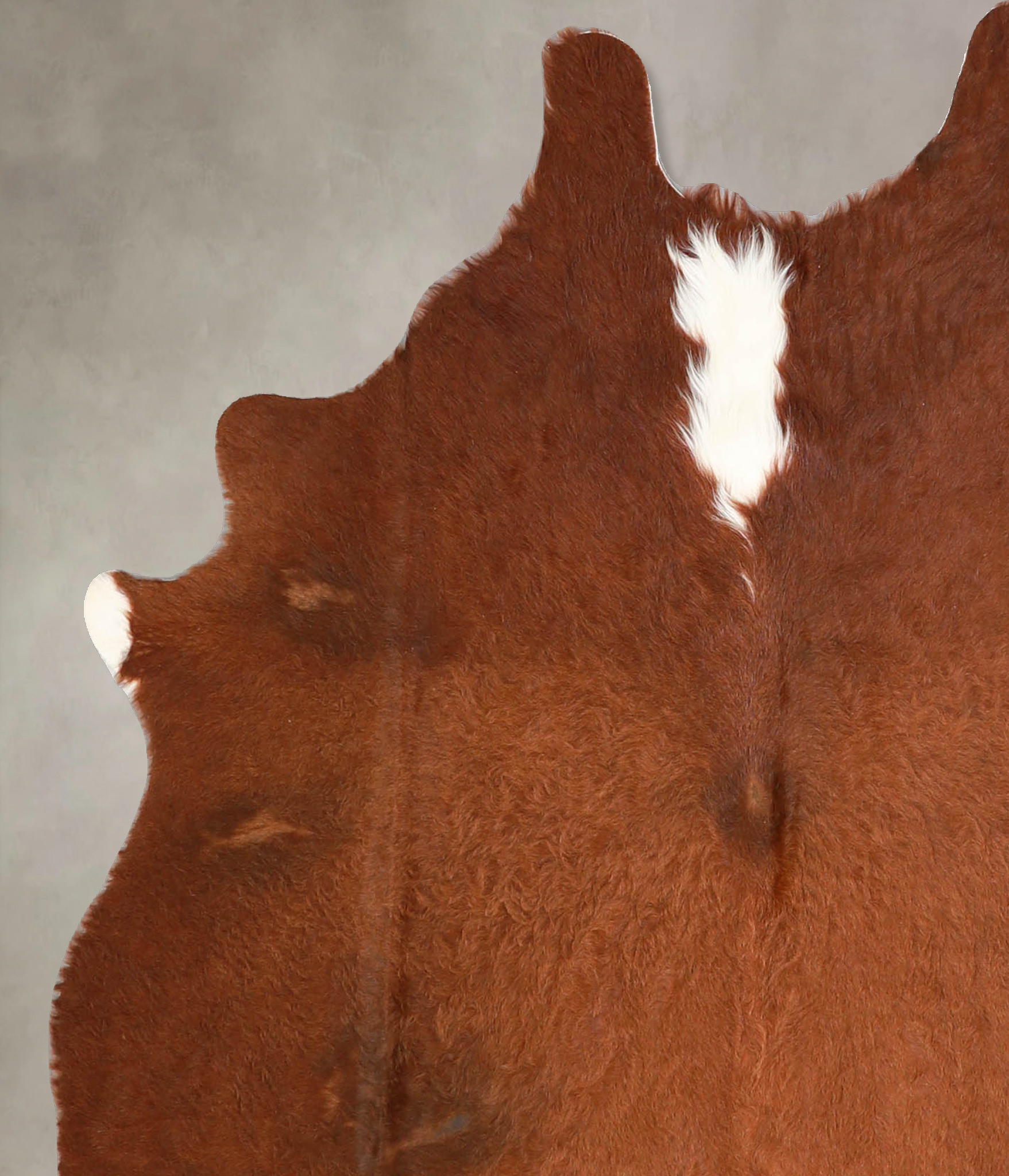 Brown and White Regular Cowhide Rug #A34820