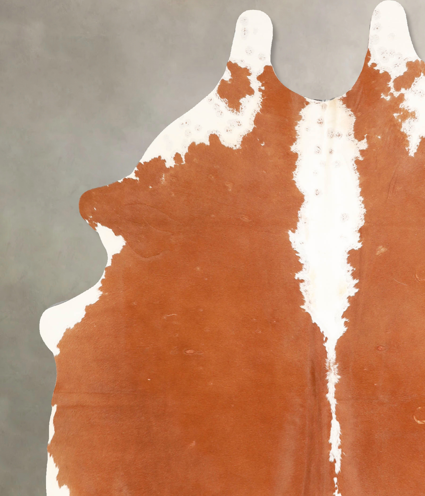 Brown and White Cowhide Rug #A34822