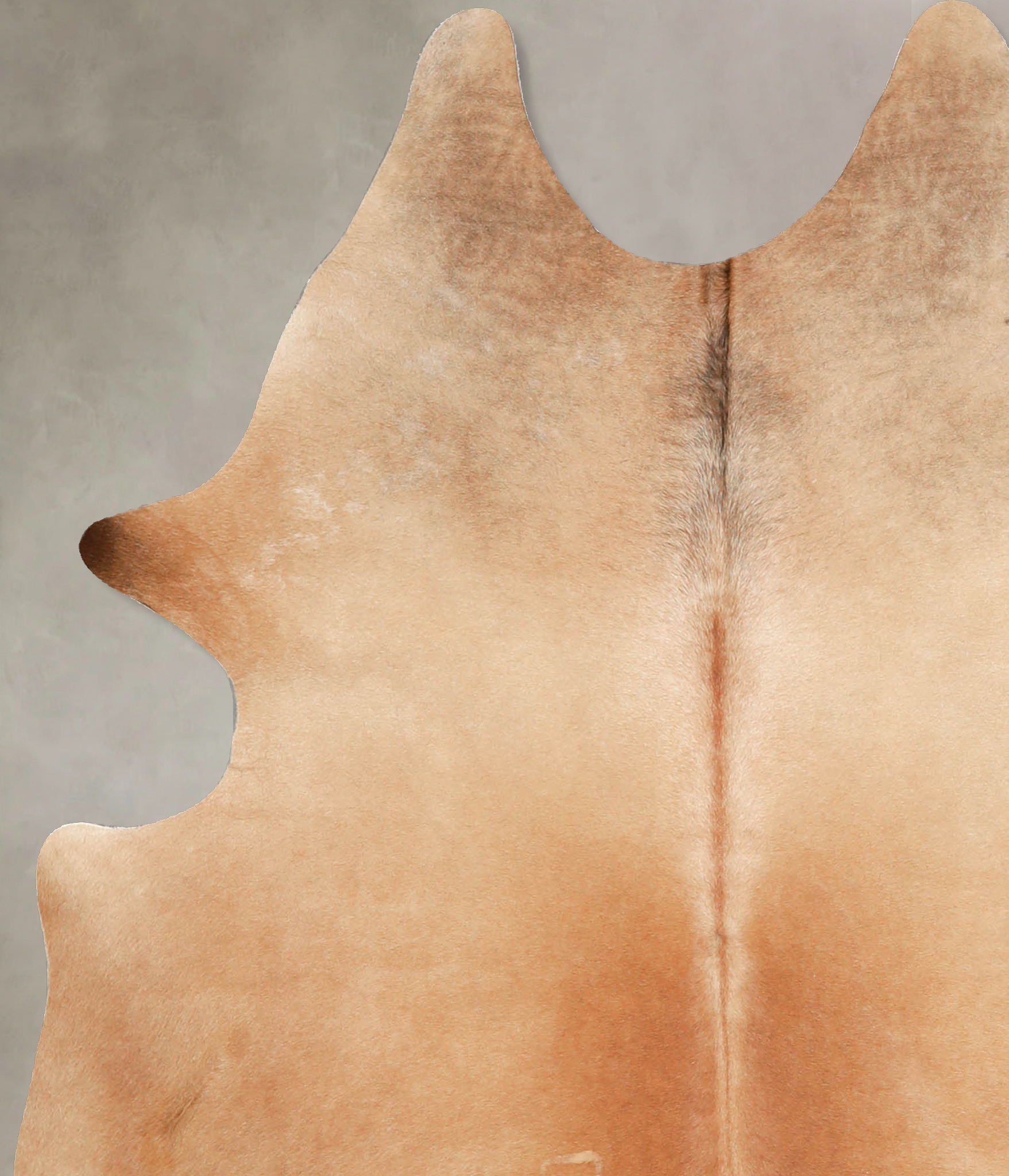 Light Caramel Cowhide Rug #A34824