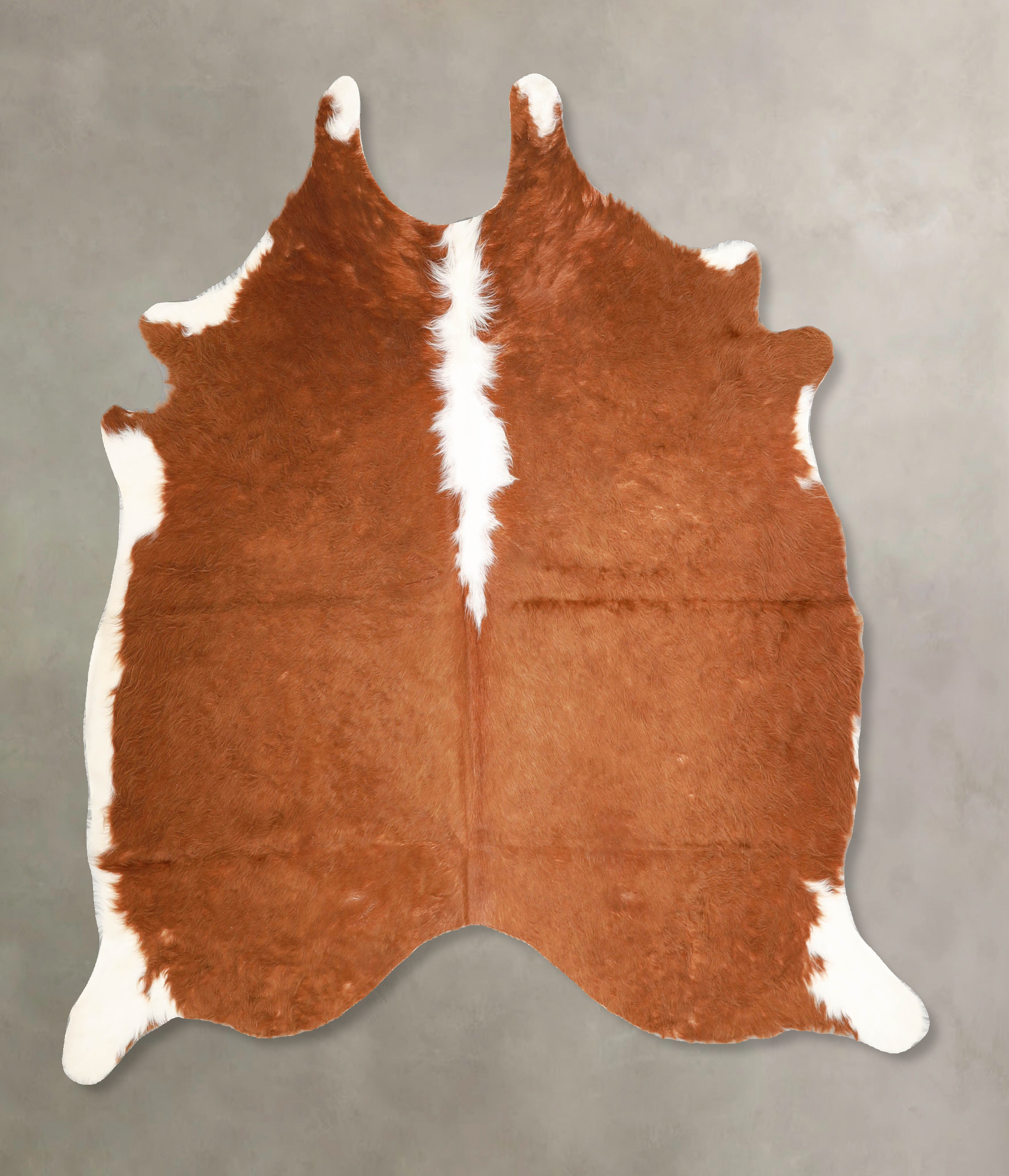 Brown and White Regular Cowhide Rug #A34825