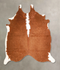 Brown and White Regular Medium Brazilian Cowhide Rug 5'5