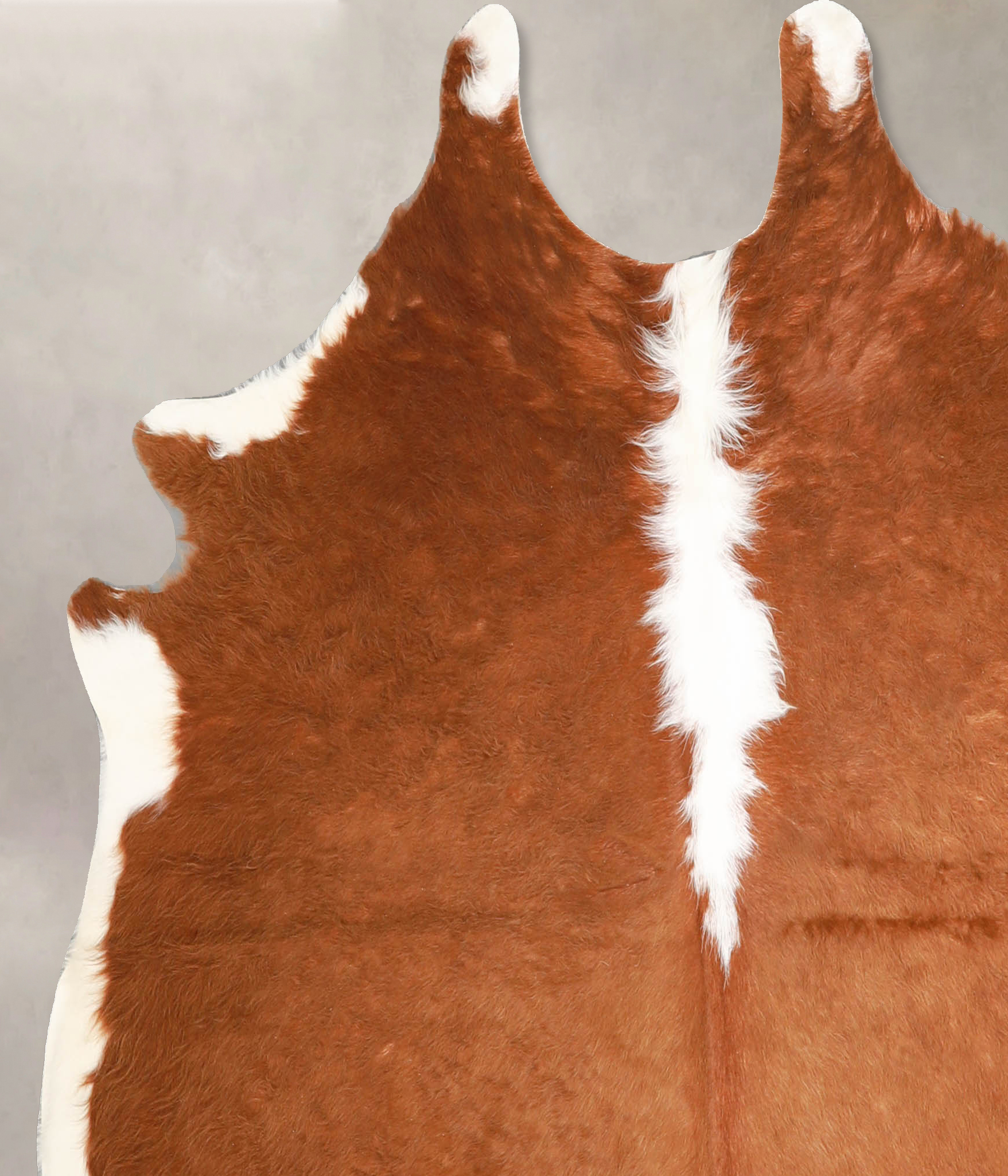 Brown and White Regular Cowhide Rug #A34825