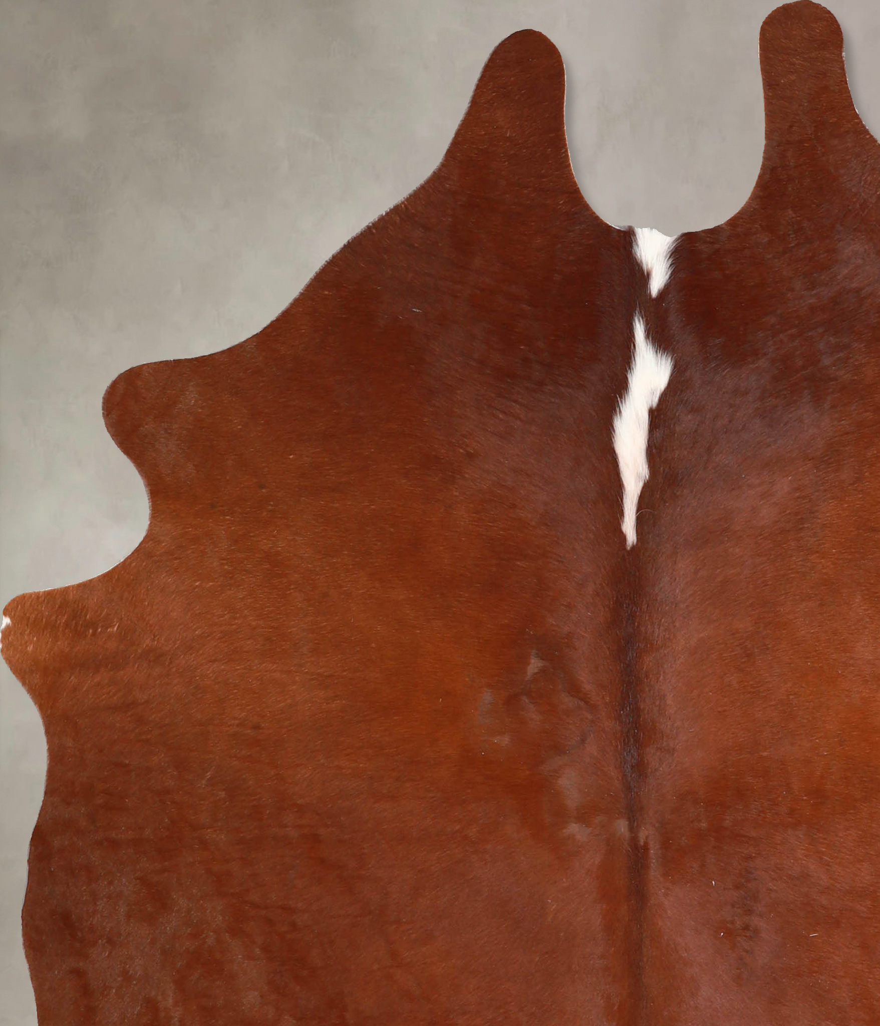 Solid Brown Cowhide Rug #A34830