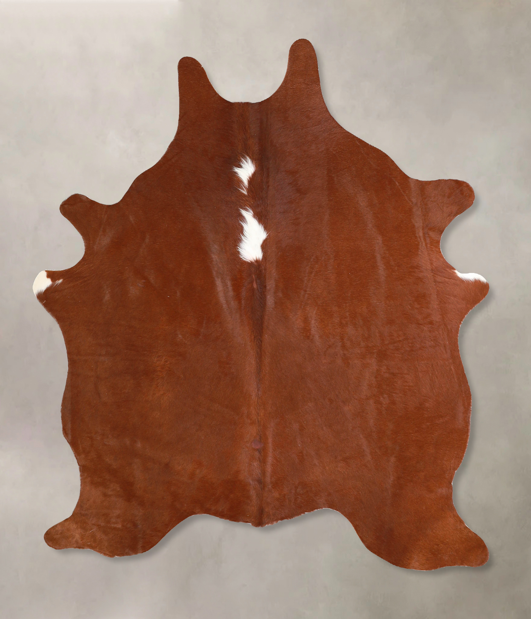 Brown and White Regular Cowhide Rug #A34841