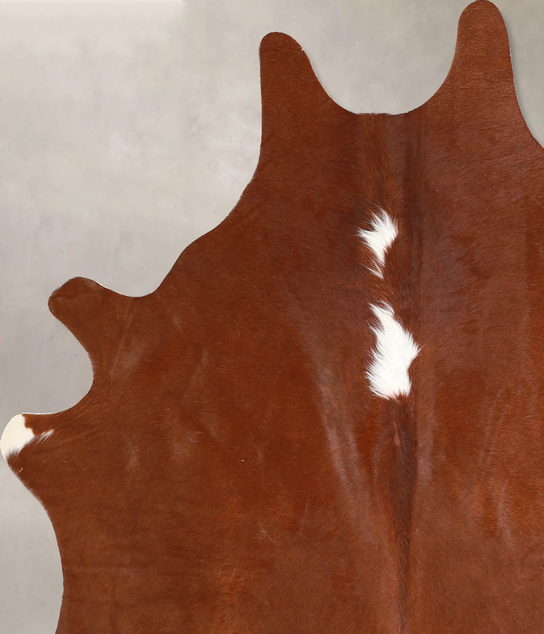 Brown and White Regular Cowhide Rug #A34841