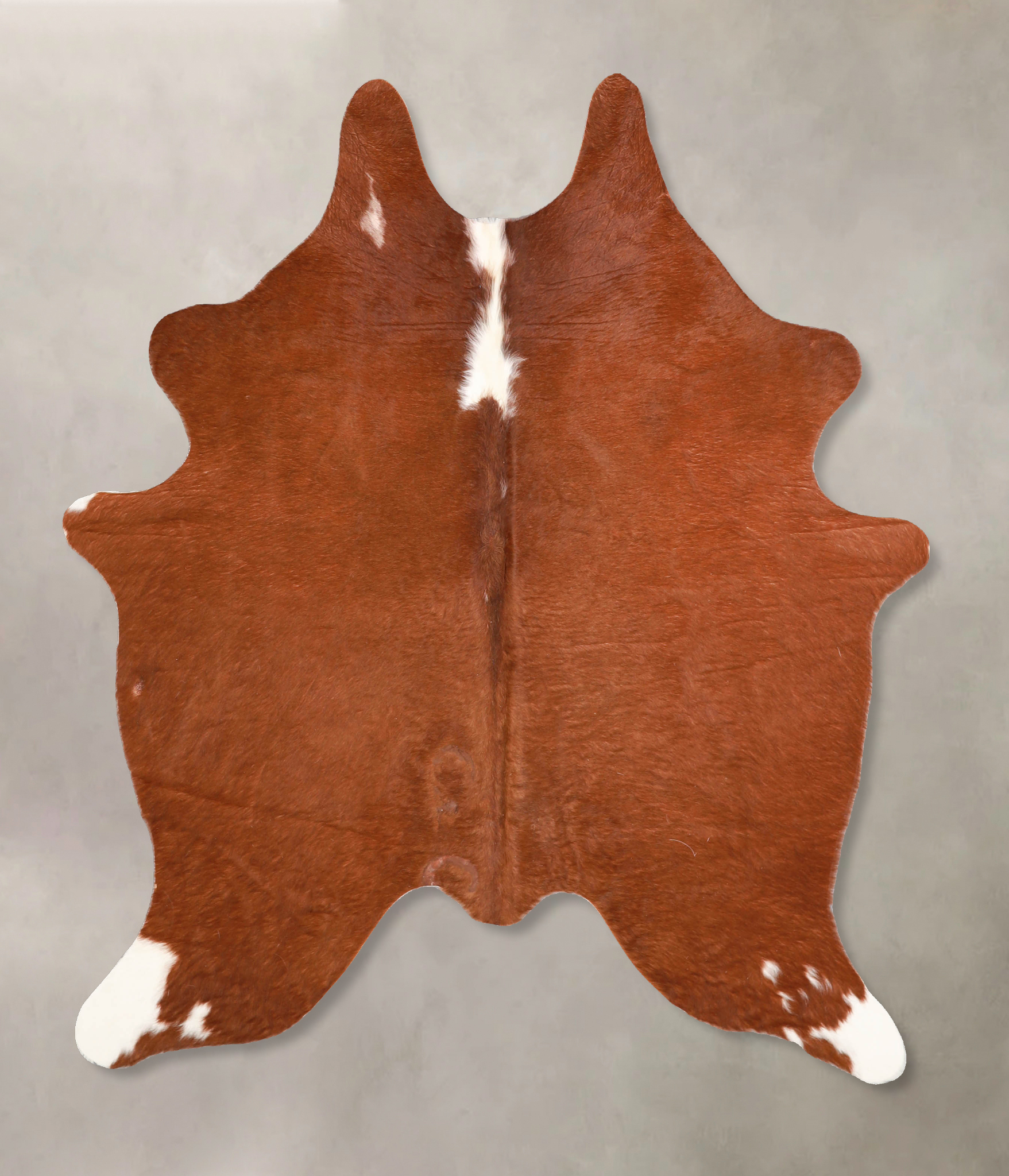 Brown and White Regular Cowhide Rug #A34843