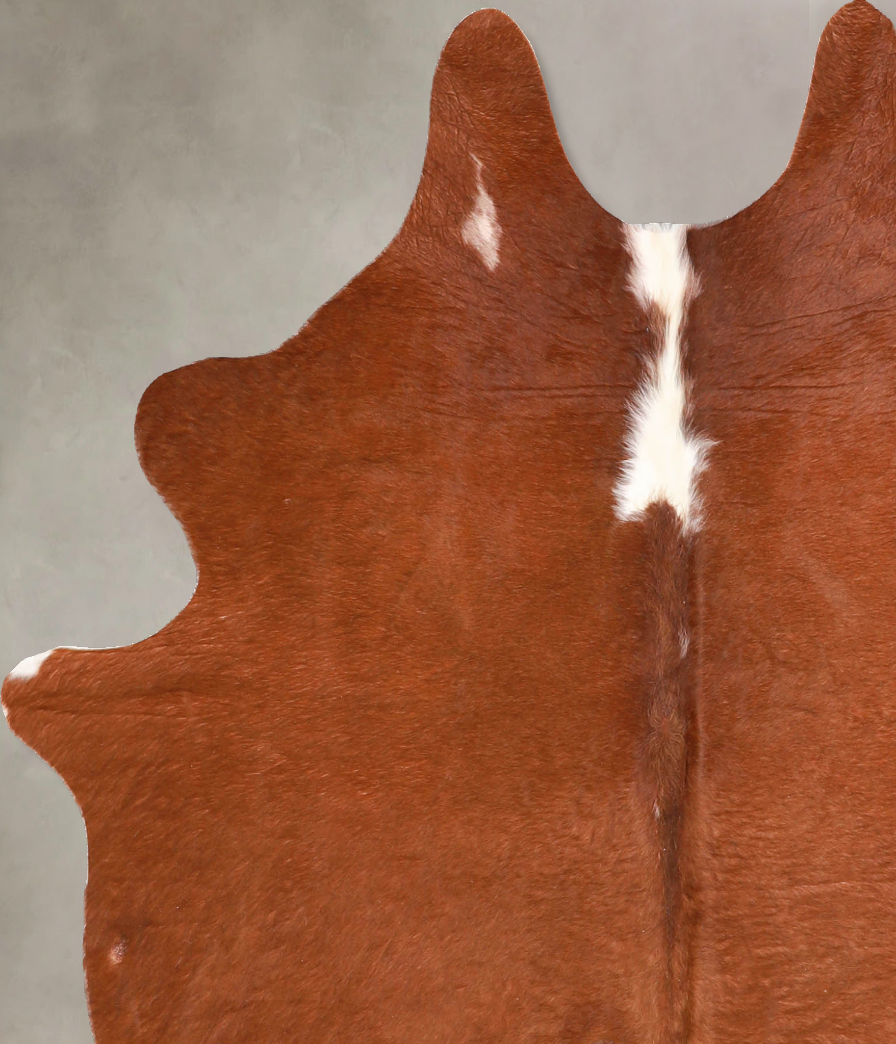 Brown and White Regular Cowhide Rug #A34843