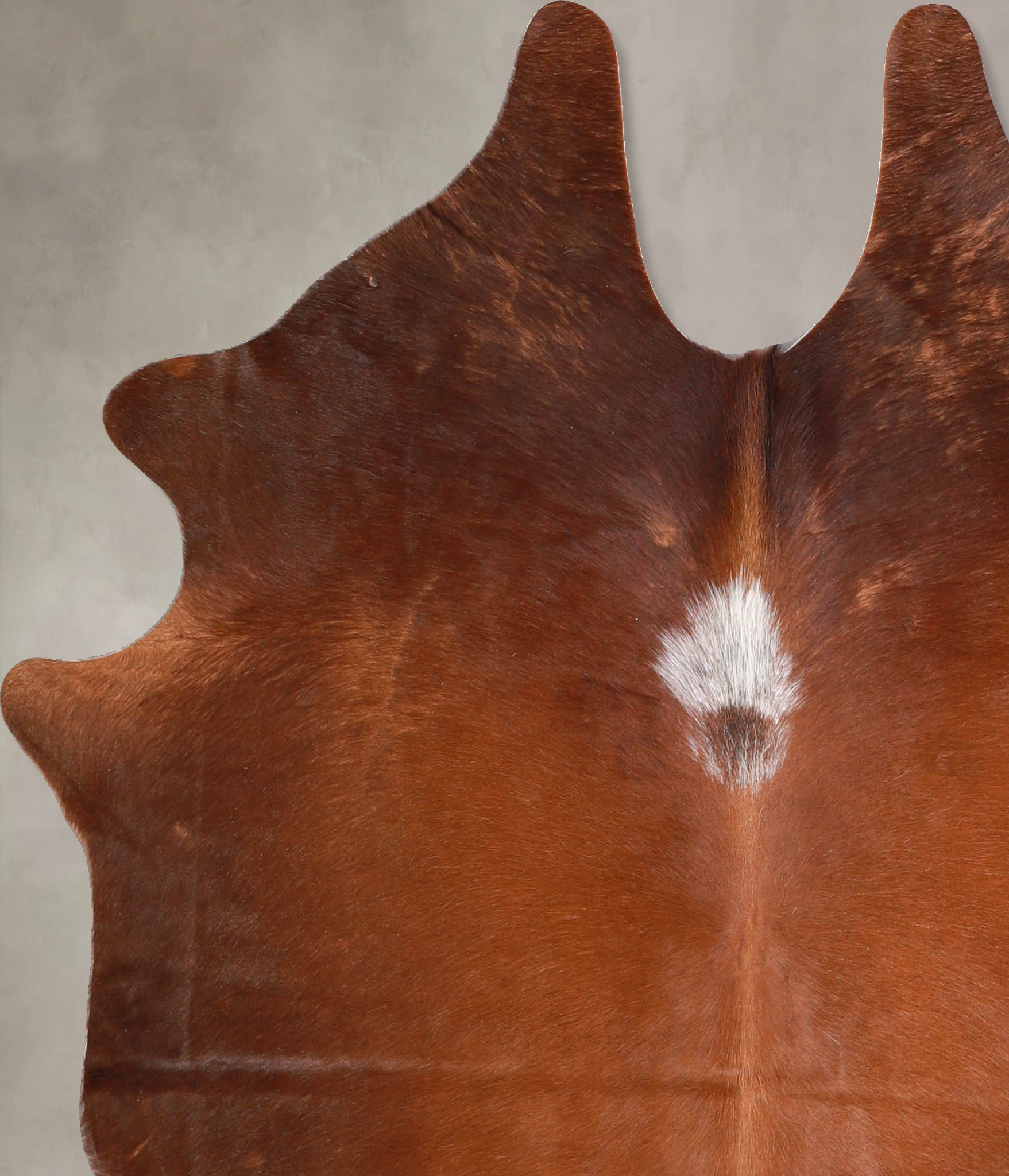 Solid Brown Cowhide Rug #A34845