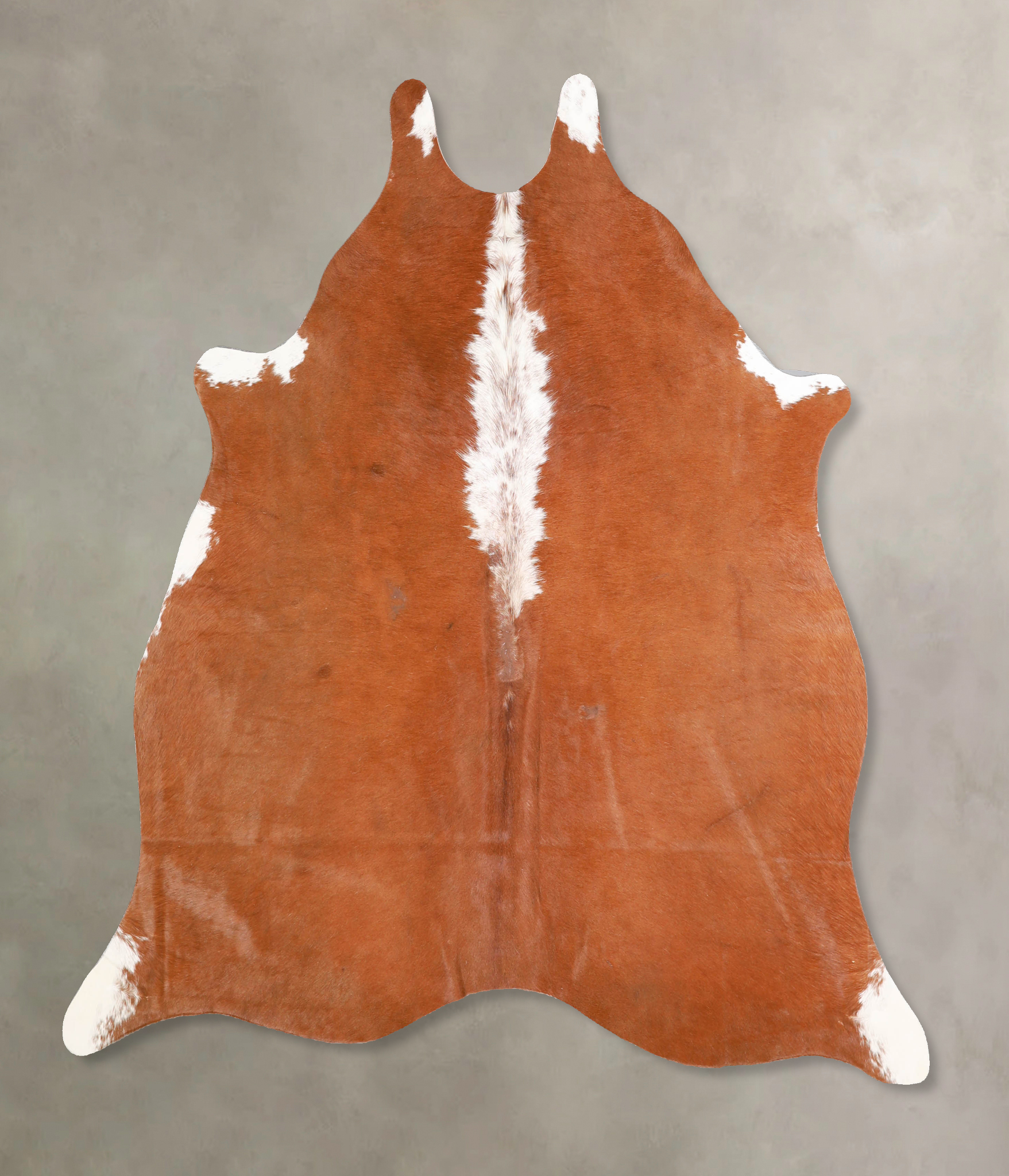 Brown and White Regular Cowhide Rug #A34855