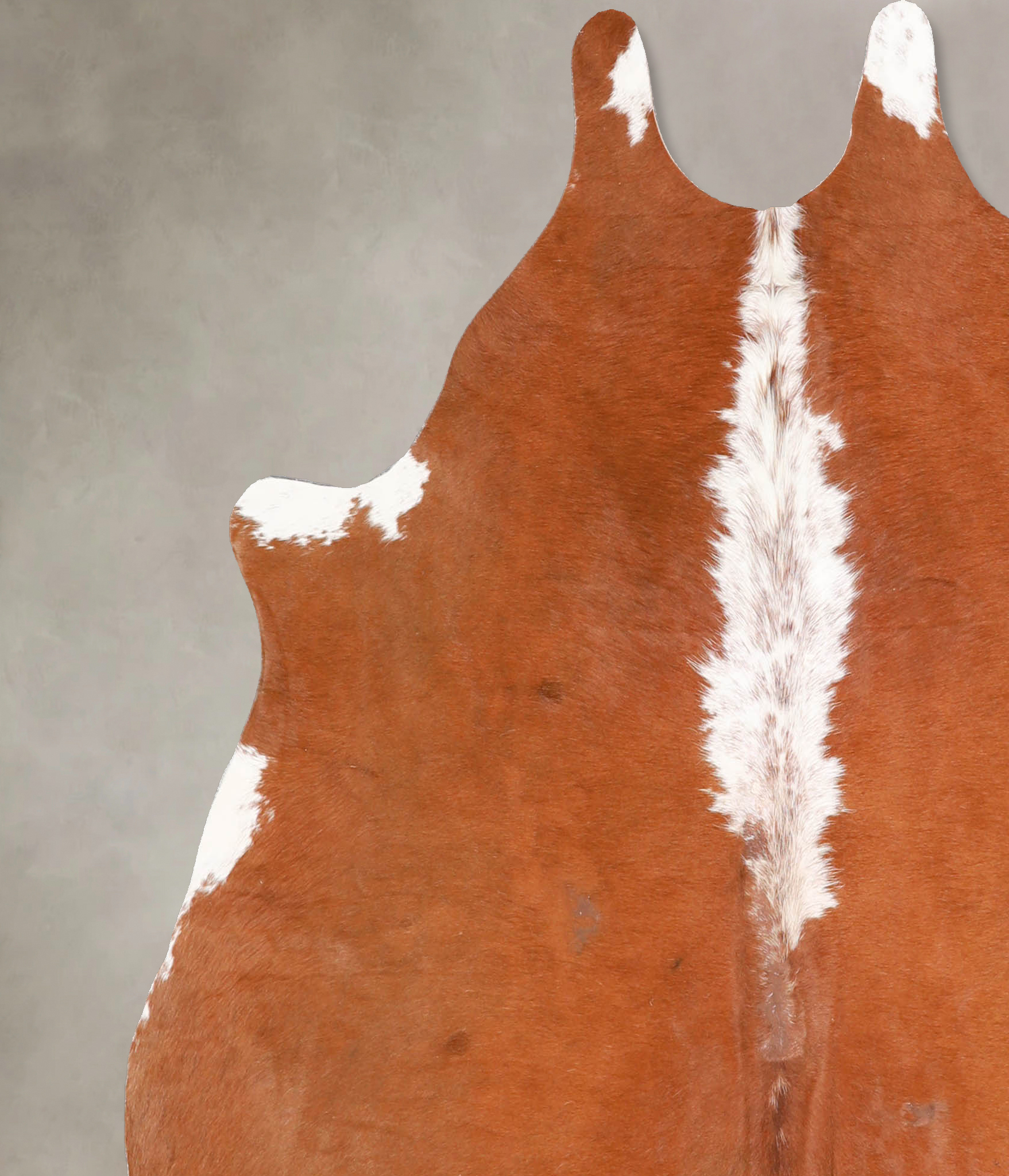 Brown and White Regular Cowhide Rug #A34855