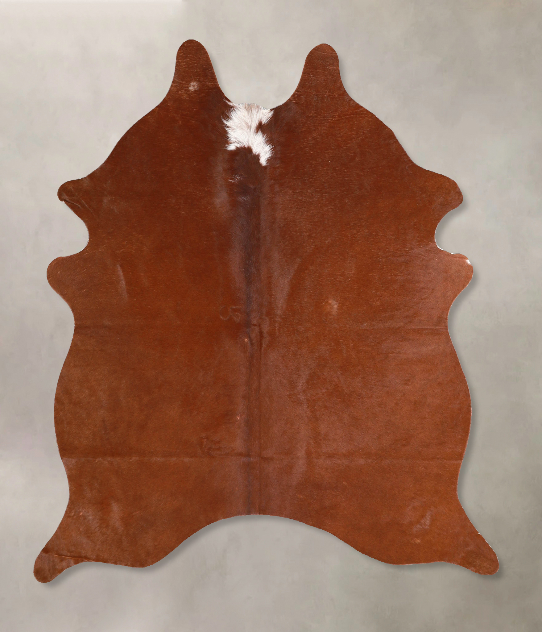 Solid Brown Cowhide Rug #A34862