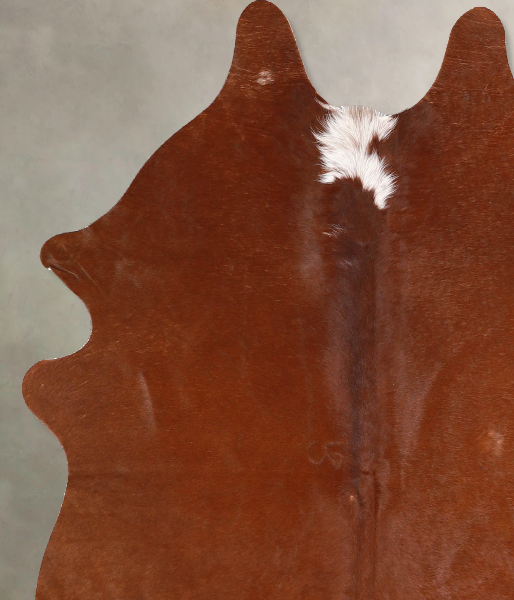 Solid Brown Cowhide Rug #A34862