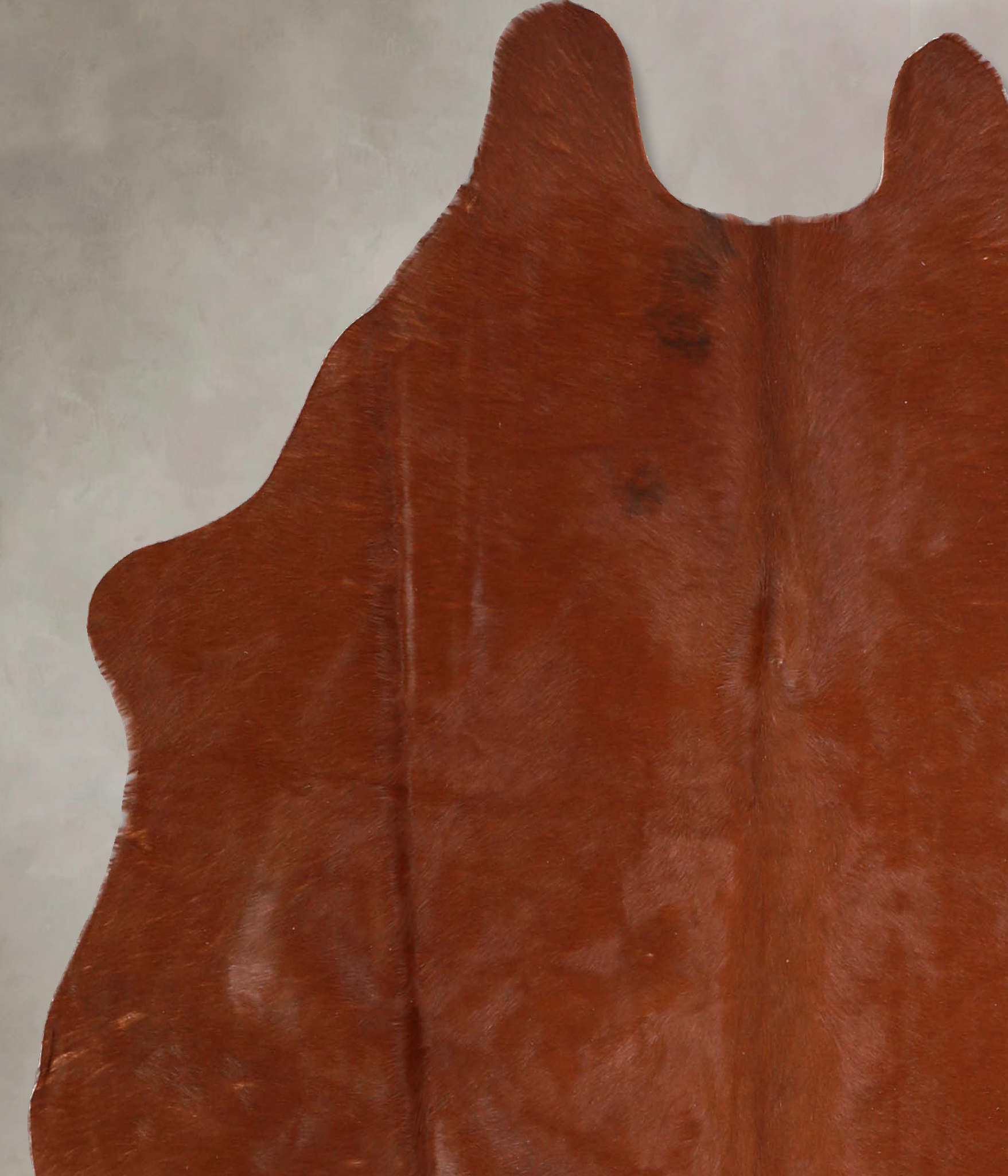 Solid Brown Cowhide Rug #A34864