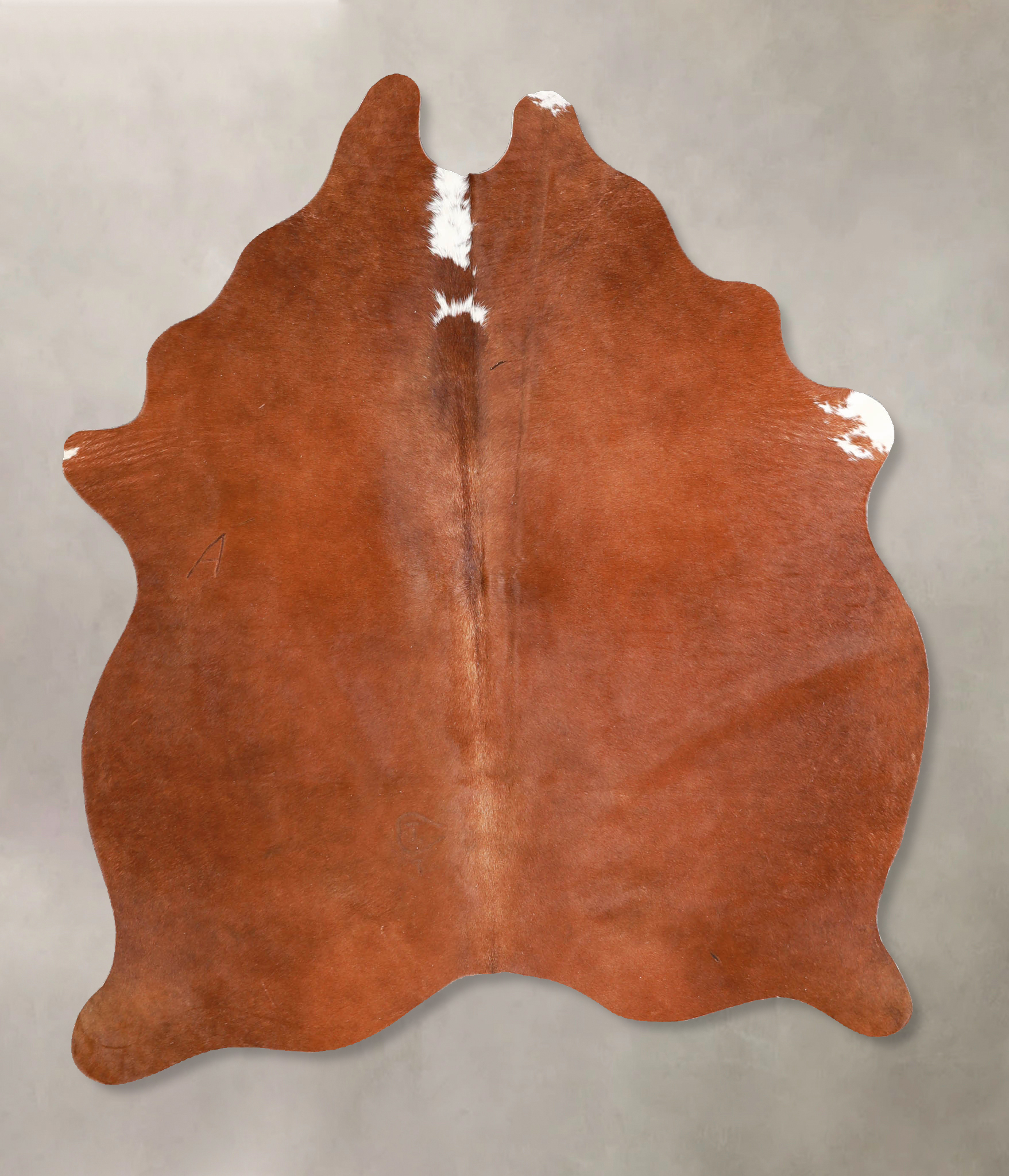 Brown and White Regular Cowhide Rug #A34868