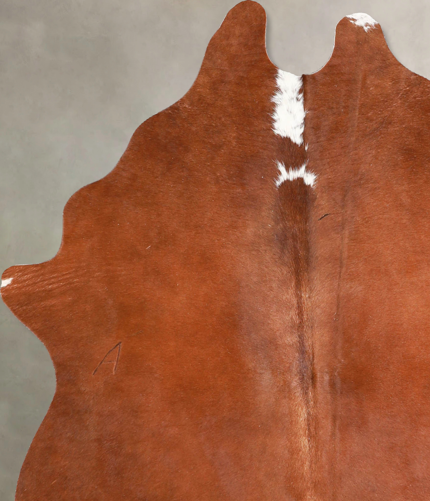 Brown and White Regular Cowhide Rug #A34868