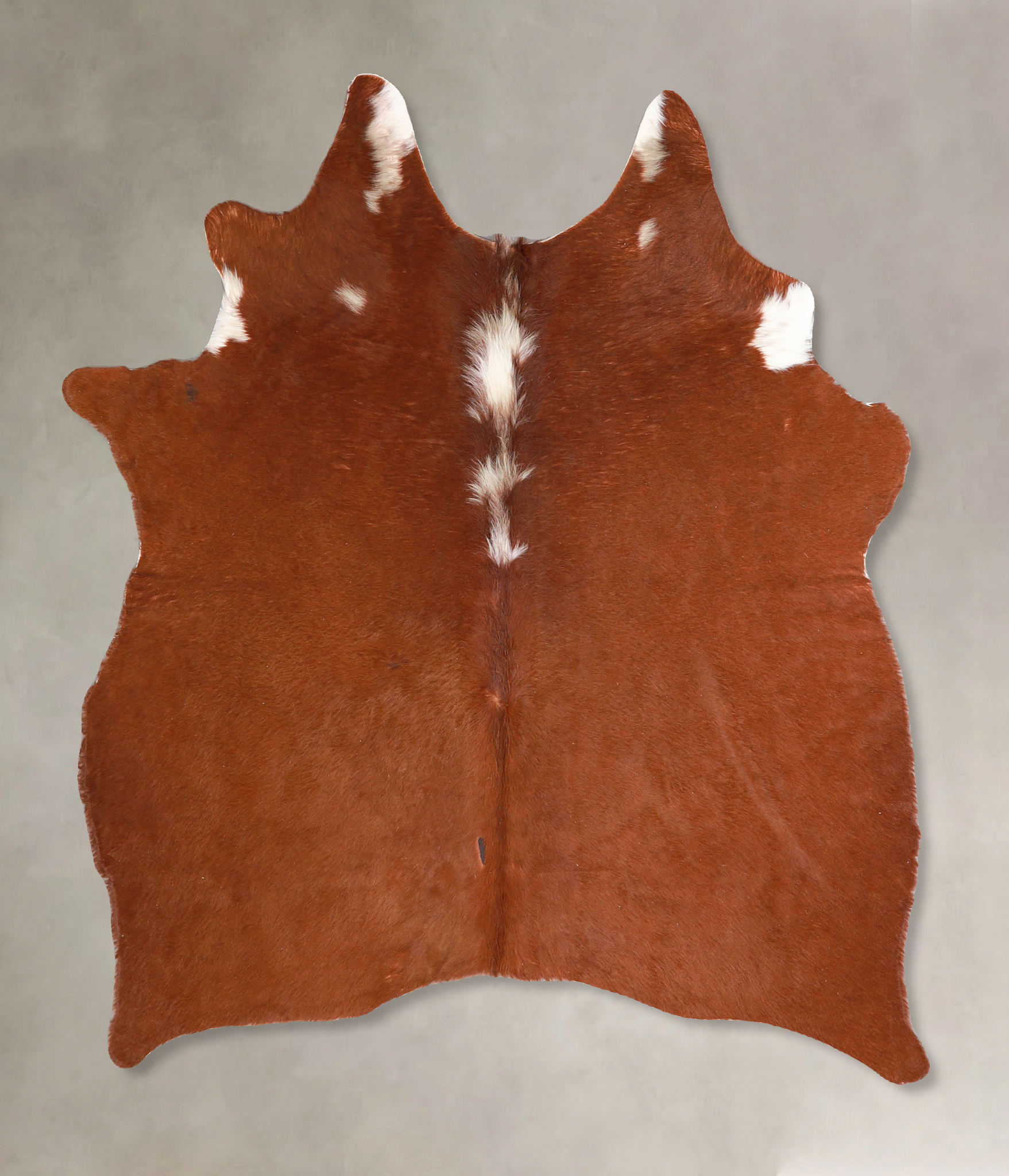 Brown and White Regular Cowhide Rug #A34870