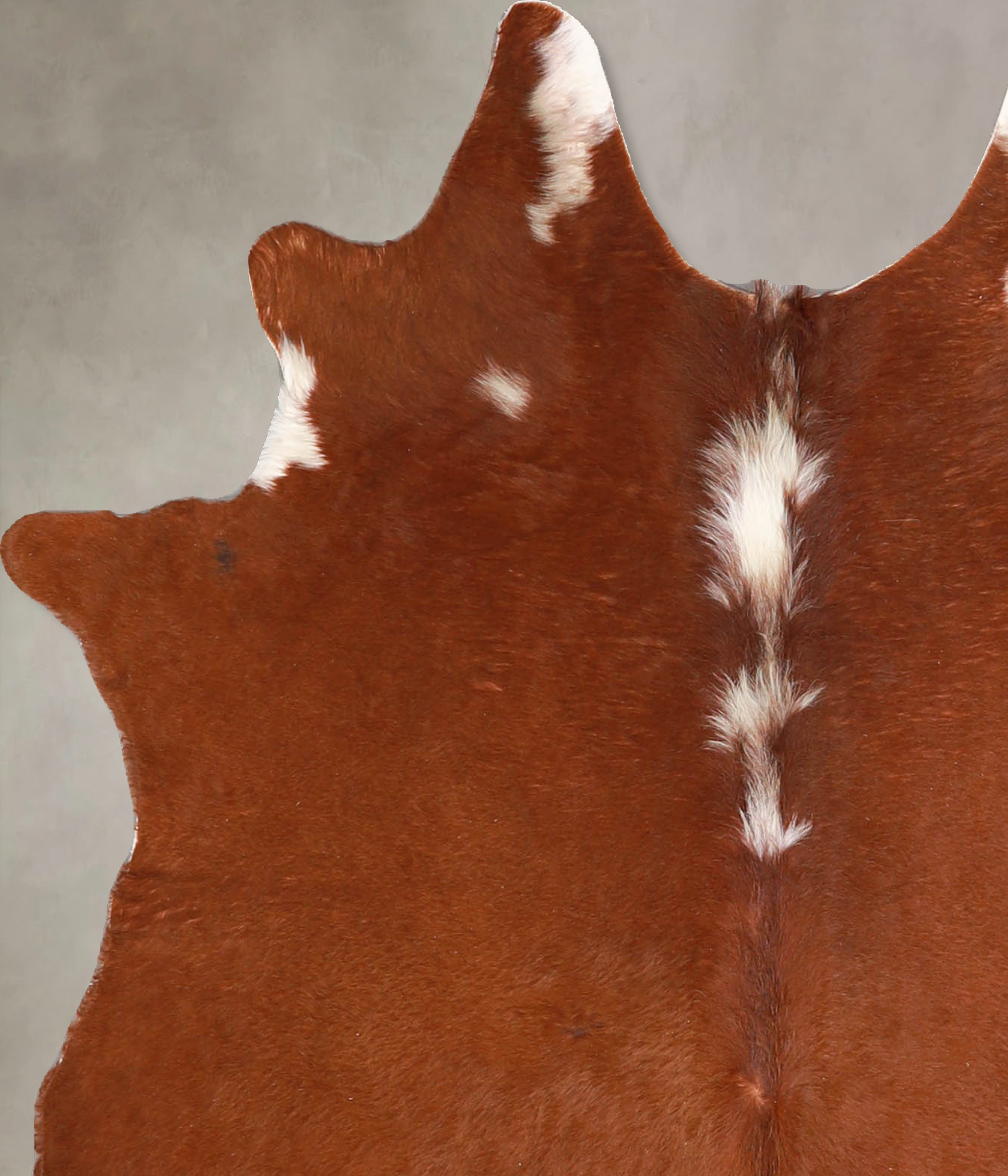 Brown and White Regular Cowhide Rug #A34870