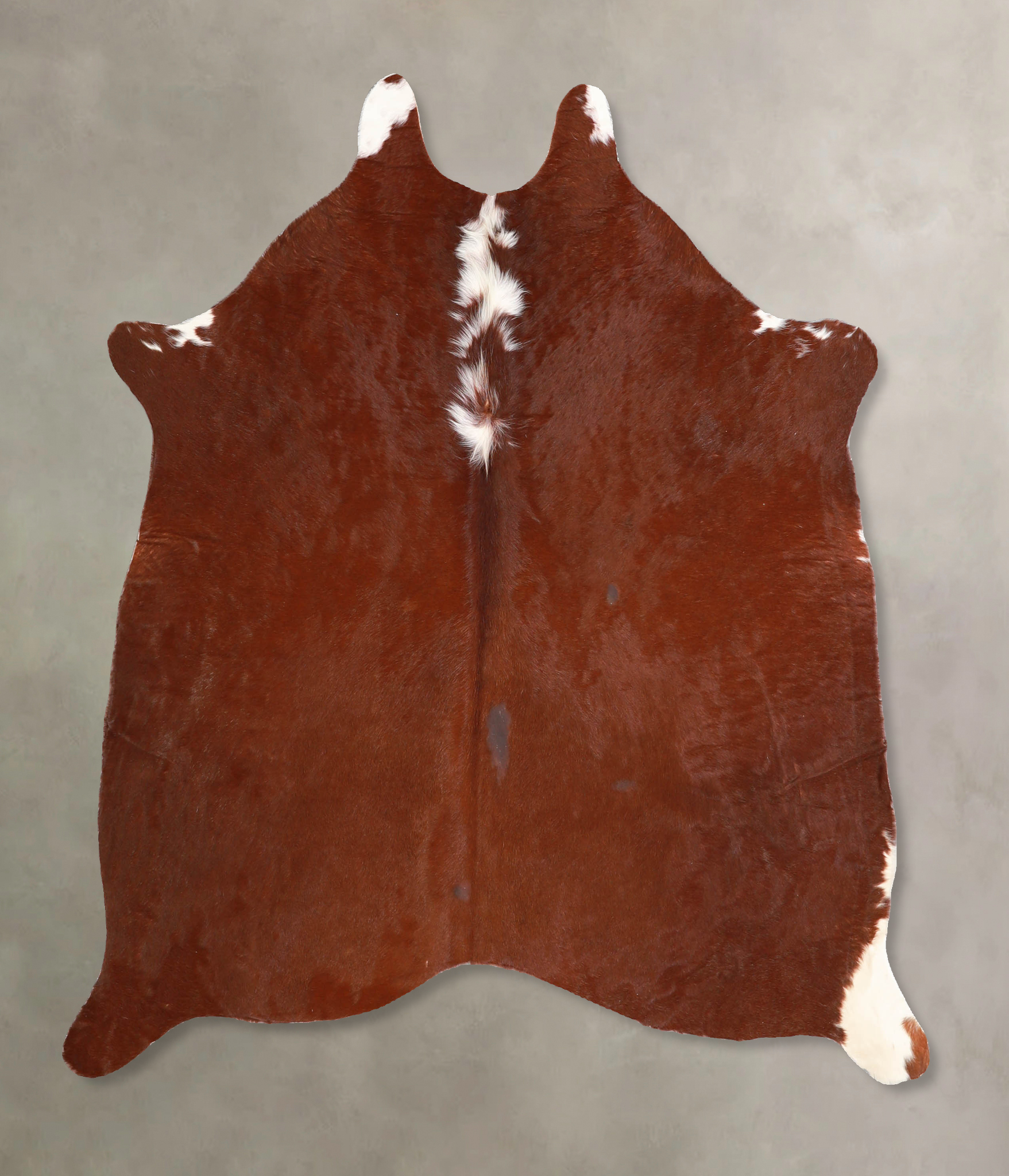 Brown and White Regular Cowhide Rug #A34871