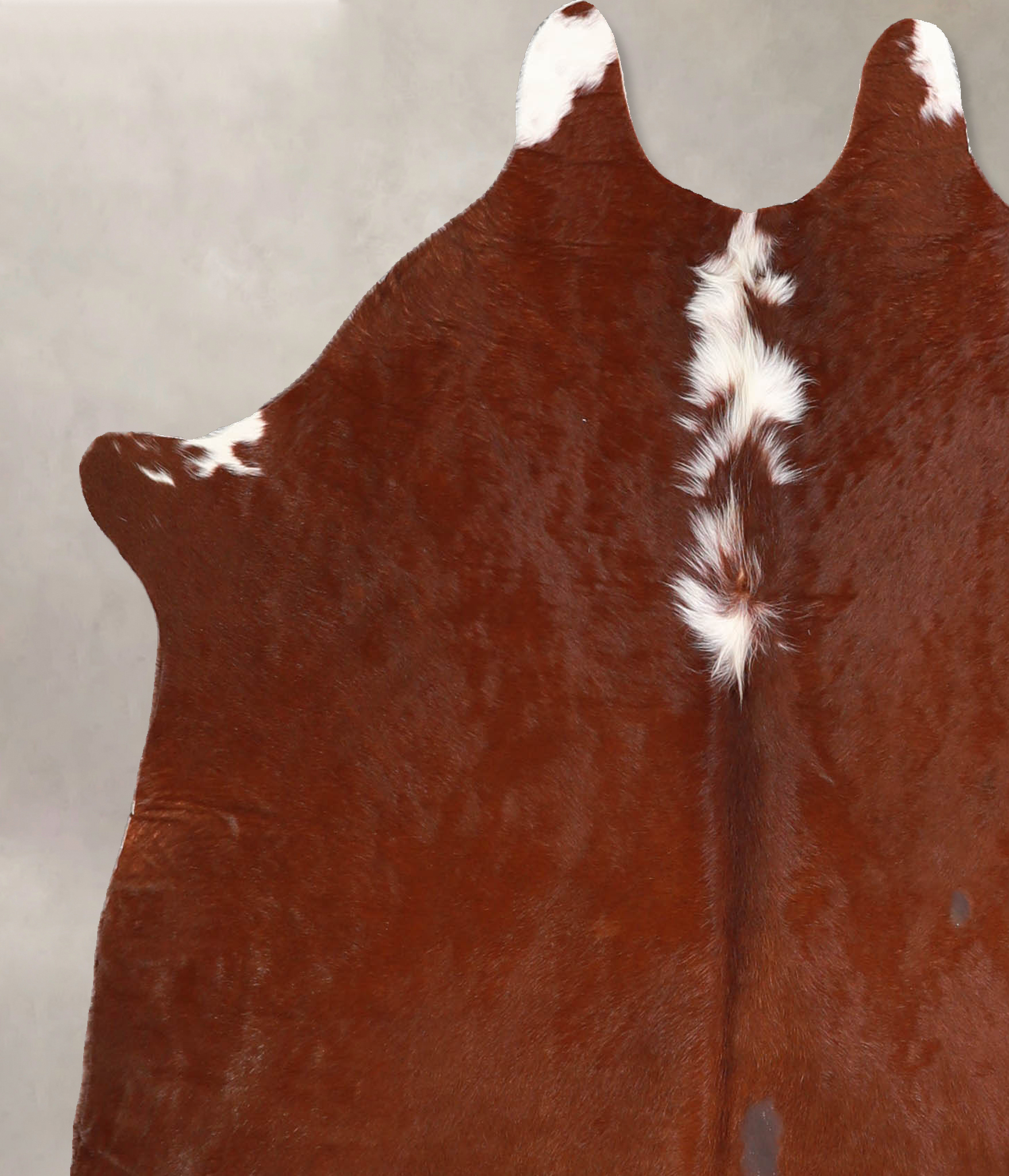 Brown and White Regular Cowhide Rug #A34871