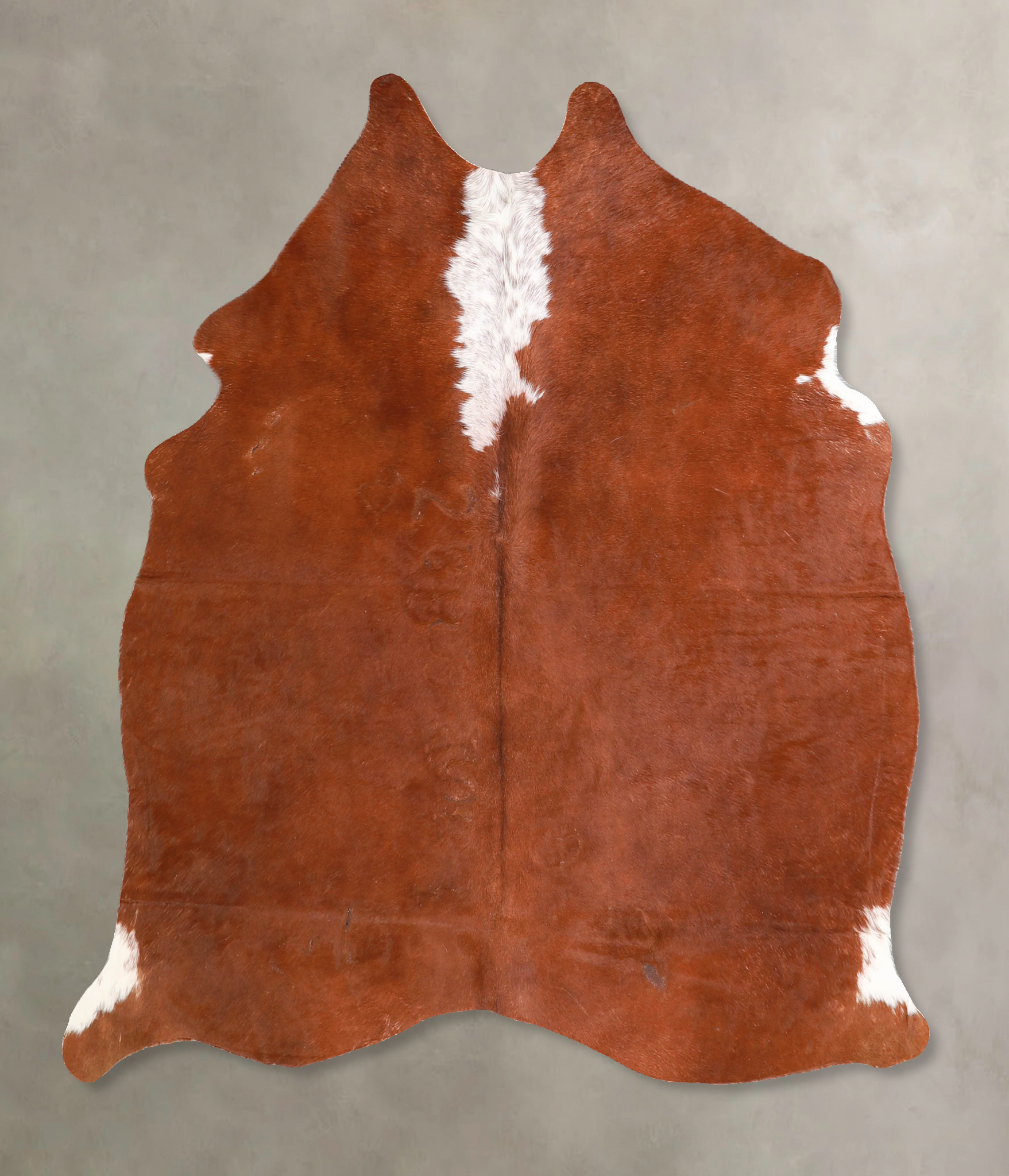 Brown and White Regular Cowhide Rug #A34873