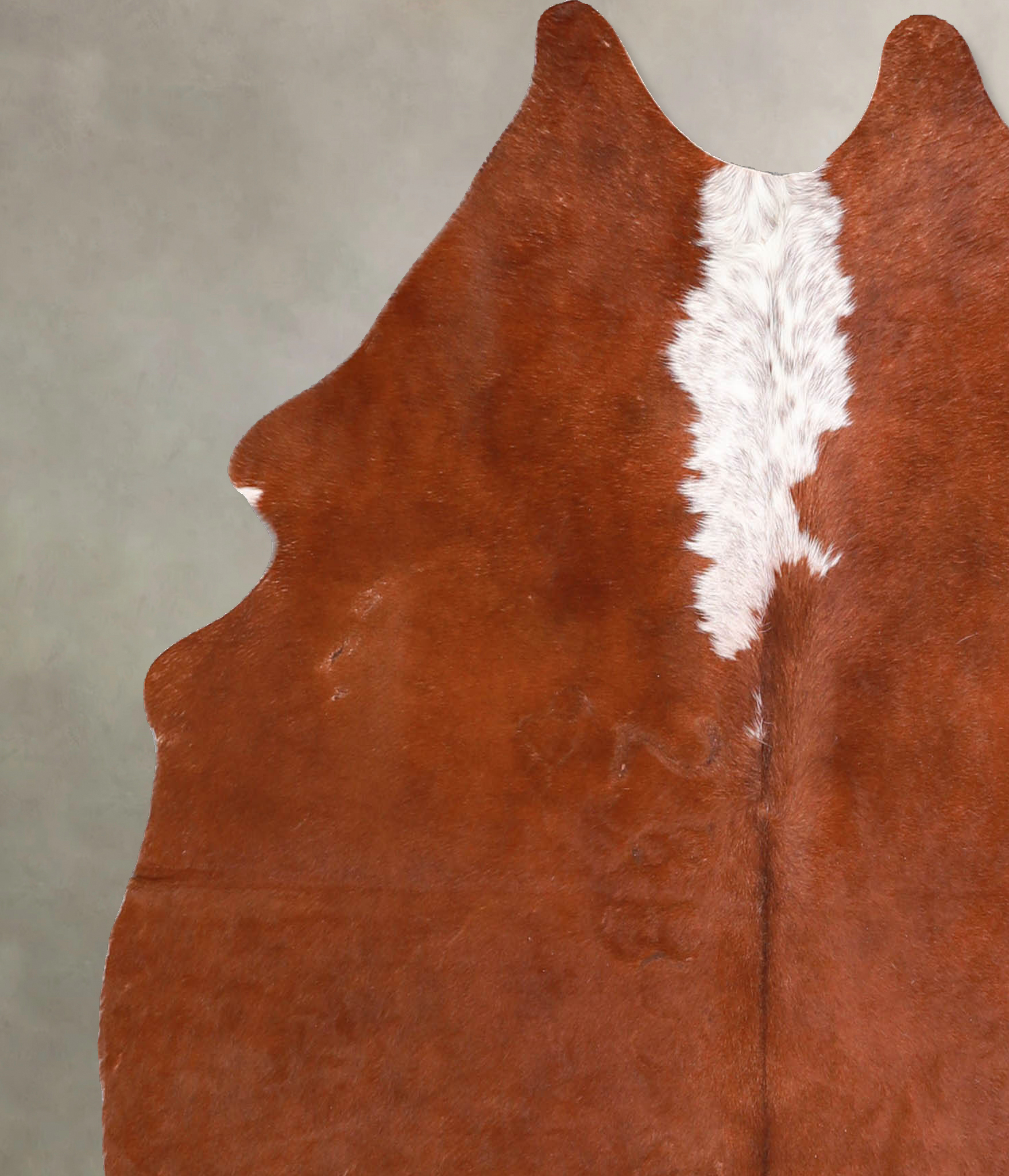 Brown and White Regular Cowhide Rug #A34873